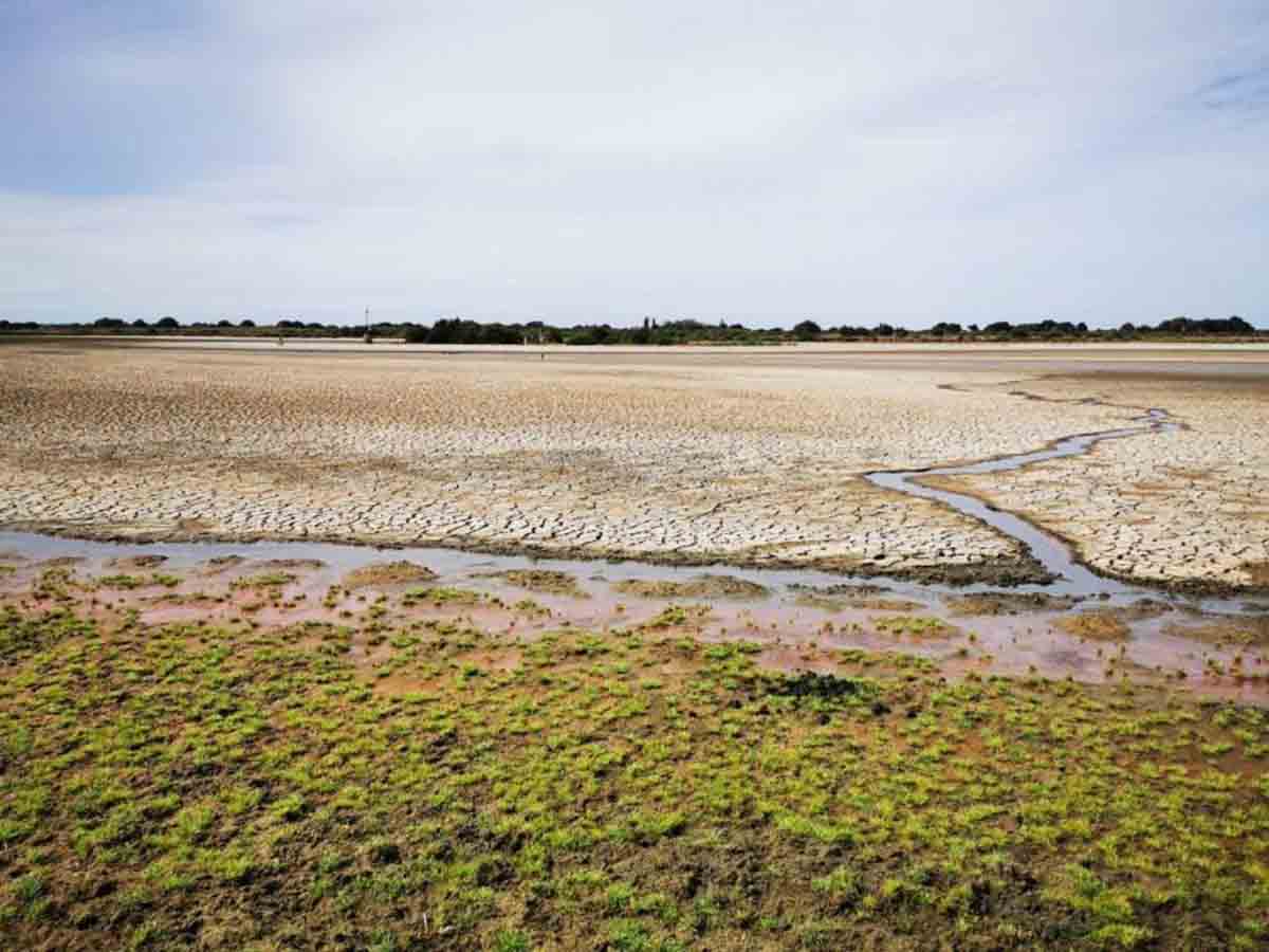 Doñana se seca por la sobreexplotación de los acuíferos. 'Voces por Doñana', concentración frente el Parlamento andaluz / Foto: CSIC