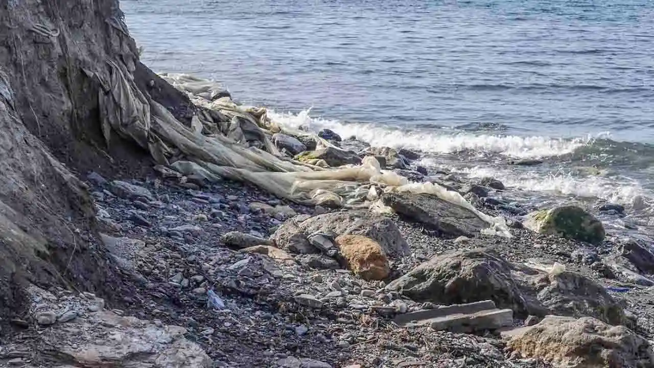 La Playa del Pozuelo, Granada, obtiene una de las 48 banderas negras del litoral español 2023 de Ecologistas en Acción / Foto: Ecologistas en Acción