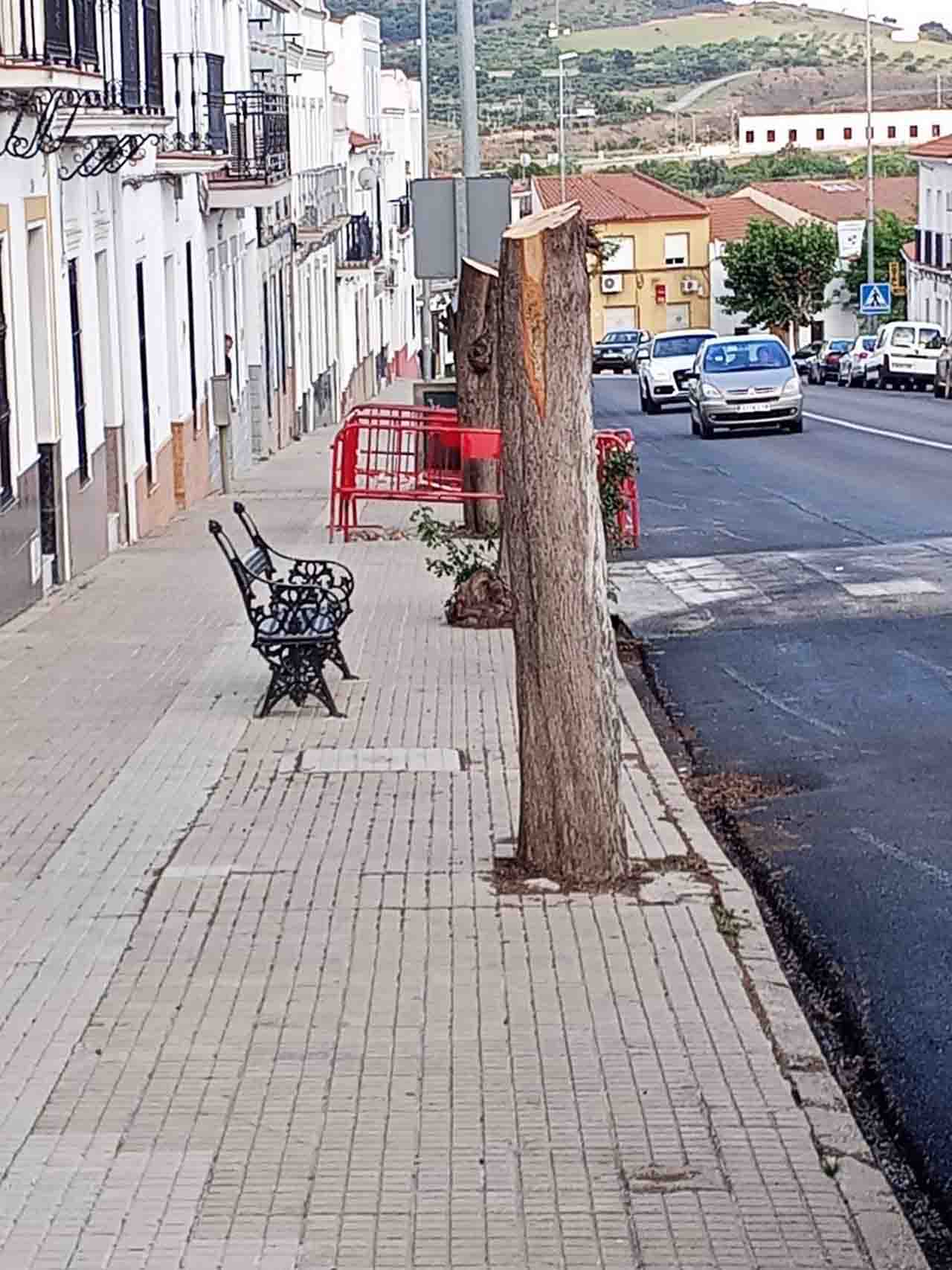 'La motosierra de Atila' otorgada al Ayuntamiento de Monesterio (Badajoz) / Foto: Ecologistas en Acción Extremadura
