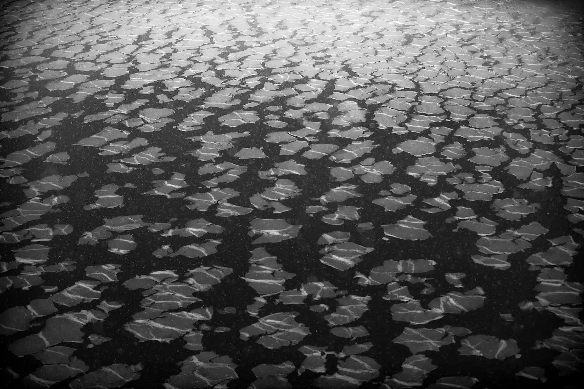 Antártida. Wilhelmina Bay. Se calcula que la temperatura en la zona polar sur ha aumentado en unos 3 grados centígrados / Foto: Alfons Rodríguez