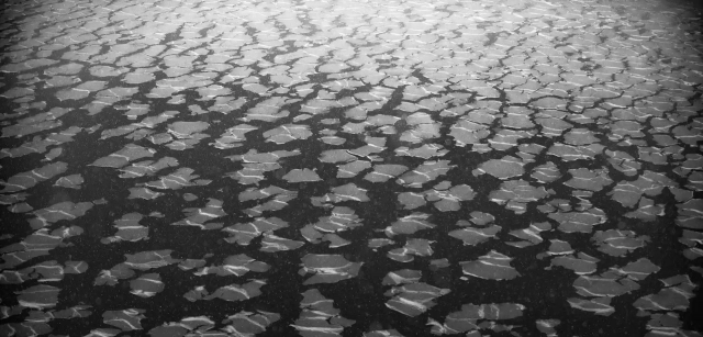 Antártida. Wilhelmina Bay. Se calcula que la temperatura en la zona polar sur ha aumentado en unos 3 grados centígrados / Foto: Alfons Rodríguez
