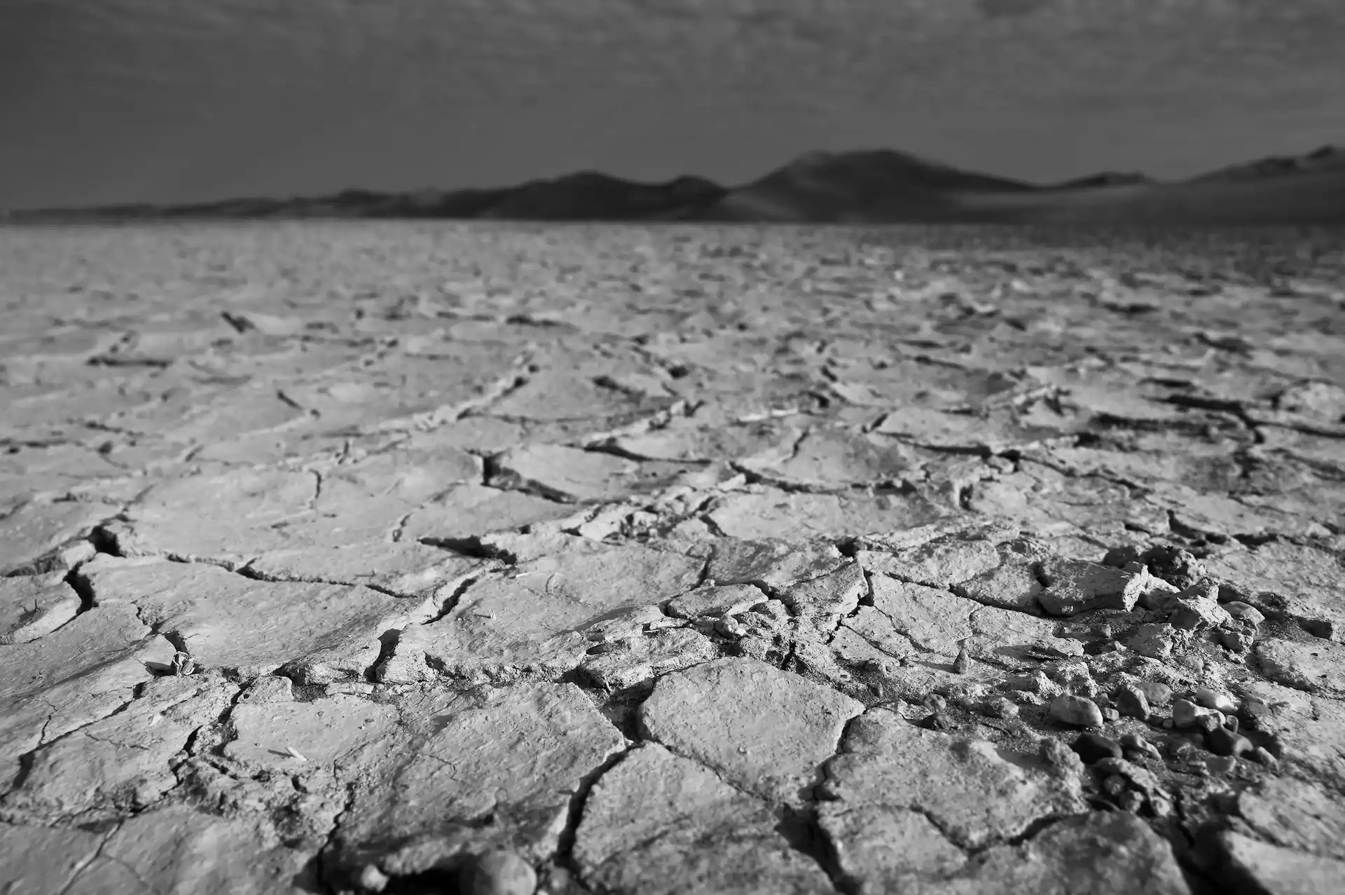 Namibia. El desierto del Namib, el más antiguo del mundo. La OMM estima que la última década (2010-2019) ha sido la más cálida desde que hay registros / Foto: Alfons Rodríguez