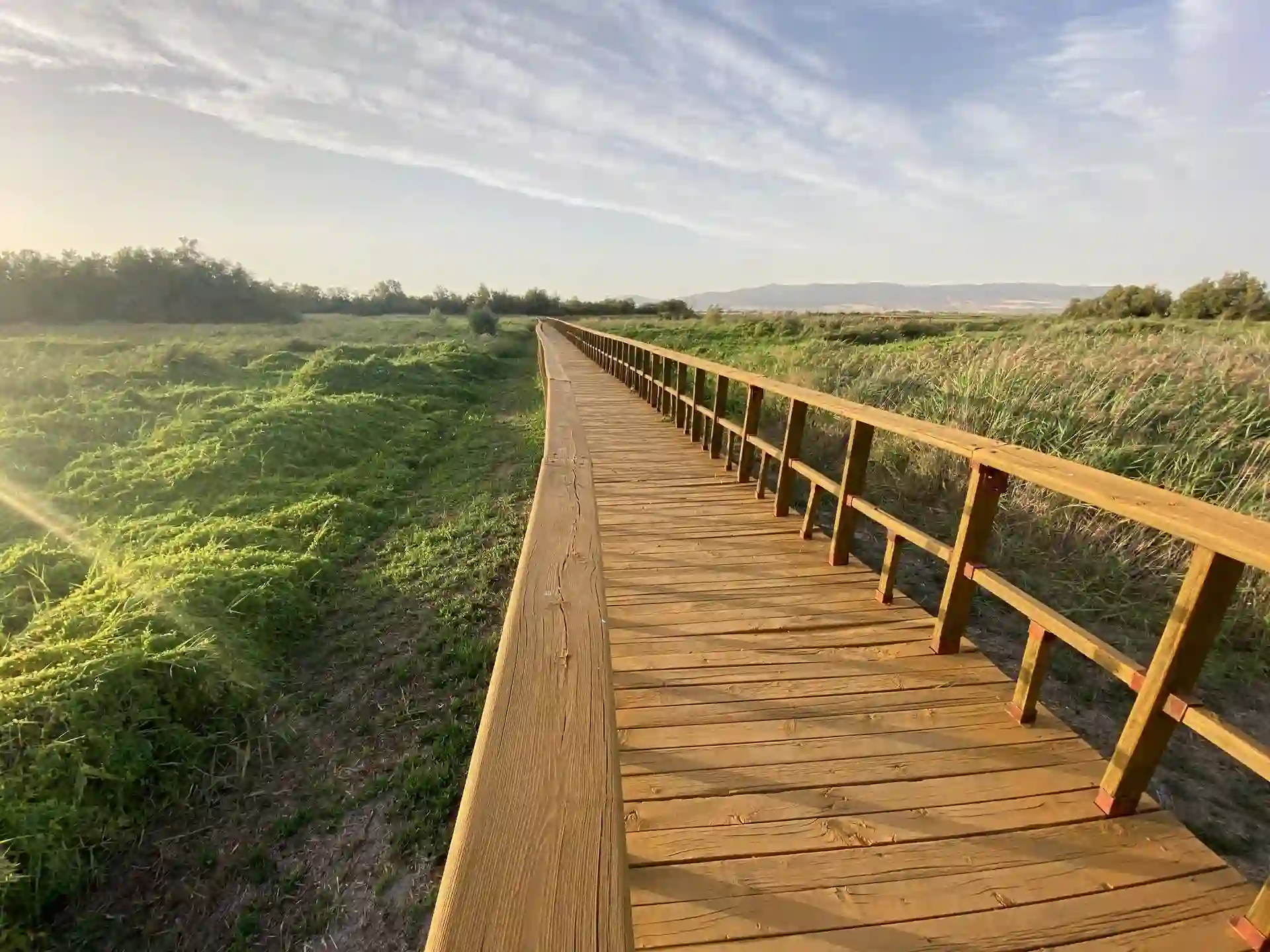 La sequía y la sobreexplotación de los acuíferos también amenazan el Parque Nacional de las Tablas de Daimiel / Foto: Patricia Galiana - EP