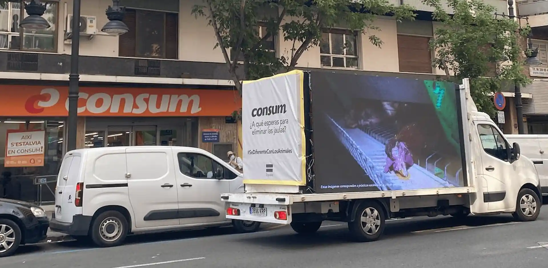 Un establecimiento de la cadena de supermercados Consum / Foto: Equalia