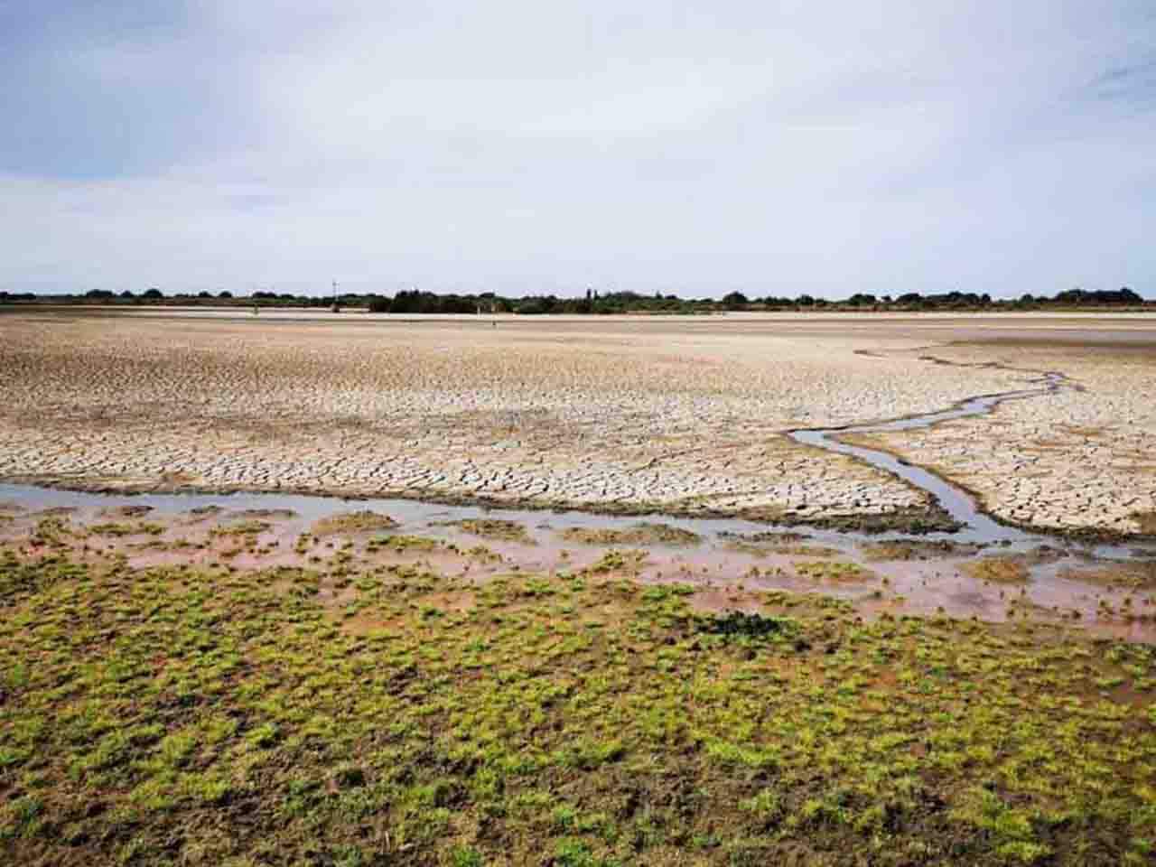 Doñana se seca por la agricultura y el turismo. Lo corrobora la NASA / Foto: CSIC