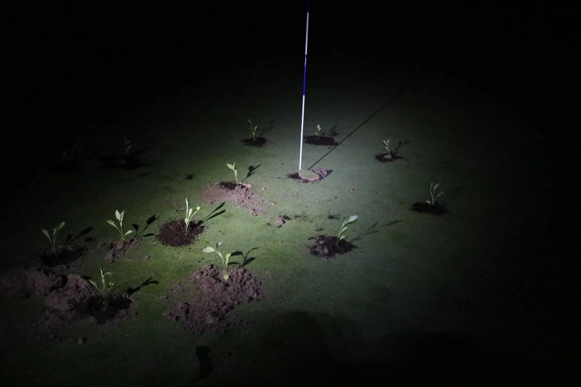 Imagen de la madrugada del sábado de un campo de golf de Navarra / Foto: XR