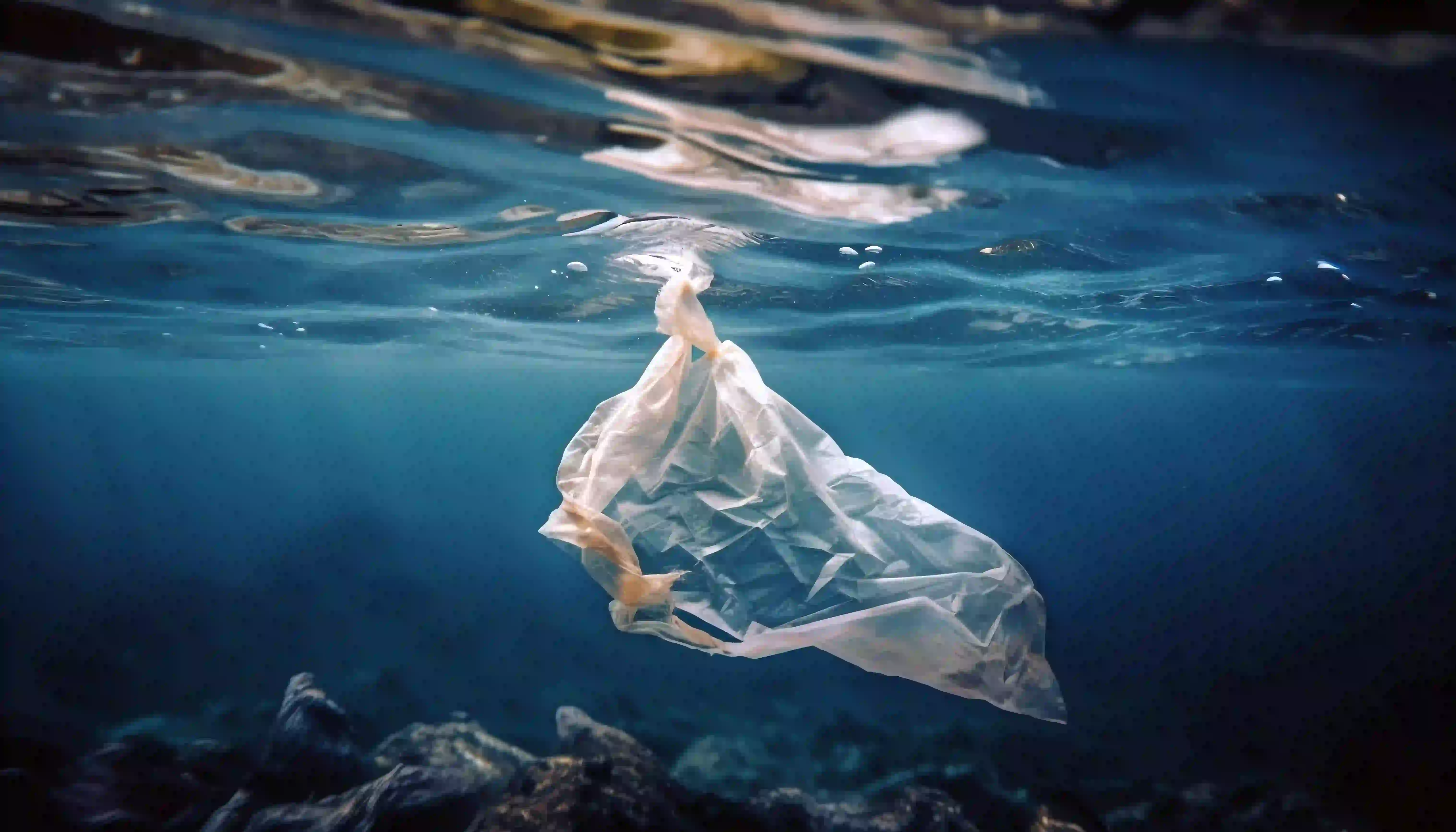 Una bolsa de plástico bajo el agua.  Día internacional libre de las bolsas de plástico 2024 / Images: FP