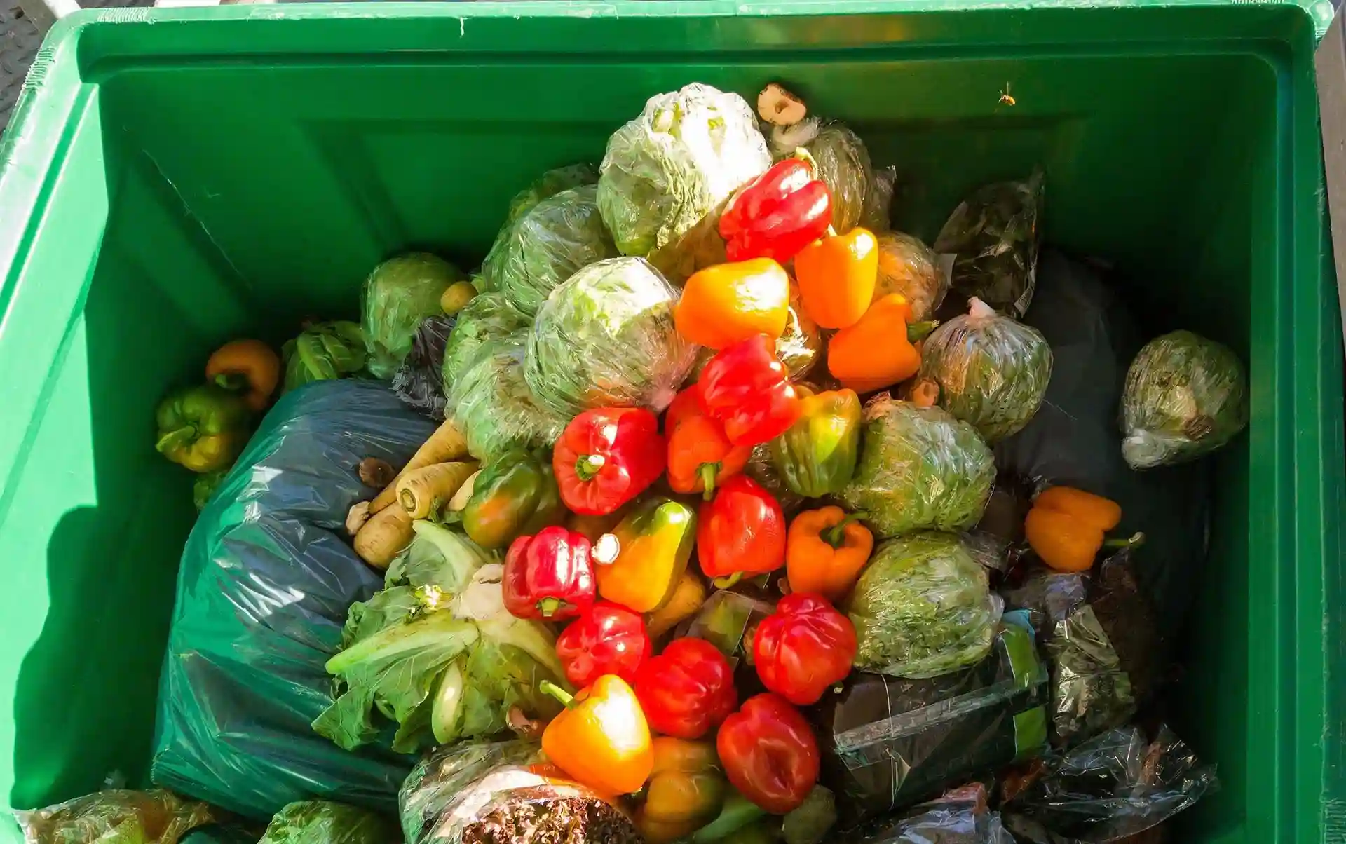 Bruselas quiere reducir el desperdicio alimentario y textil / Foto: EP