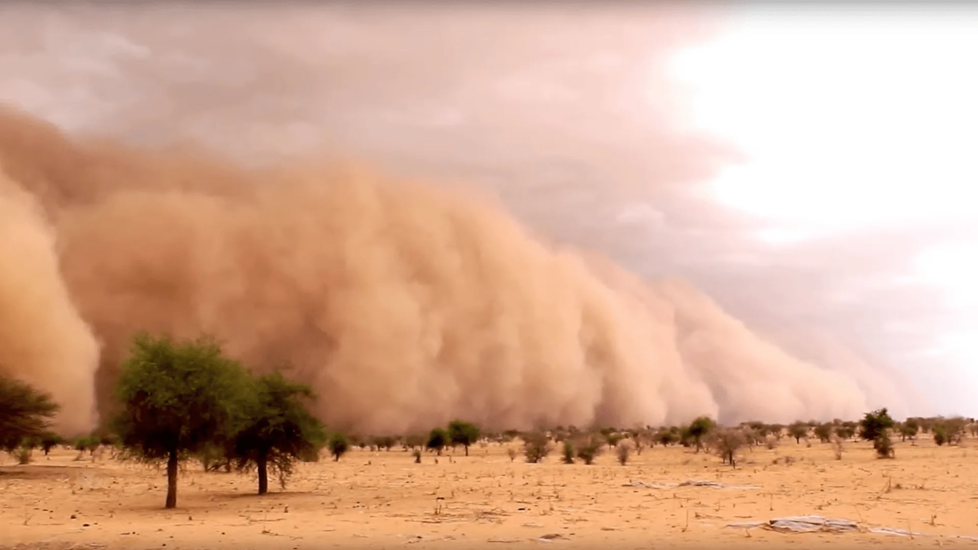 Tormentas de arena y polvo. Día Internacional contra las Tormentas de Arena y Polvo 2024 / Imagen: WMO