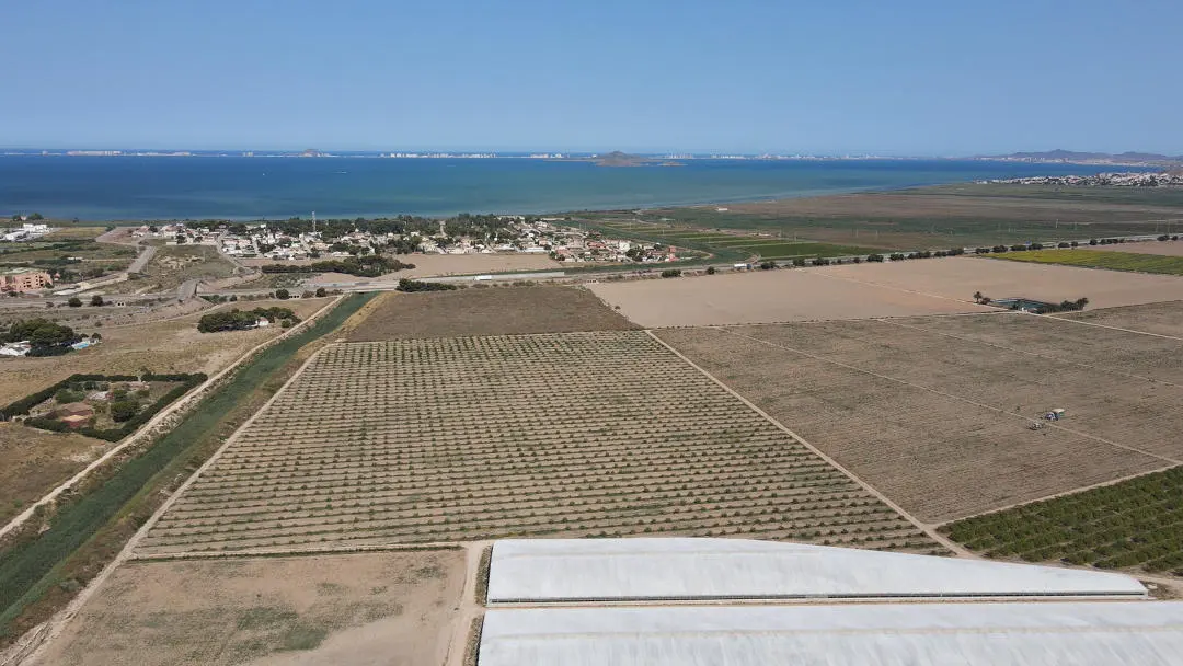Alegaciones al nuevo Plan de Sequías de la cuenca de Segura. Cultivos Albujón, Campo de Cartagena / Foto: Ecologistas en Acción