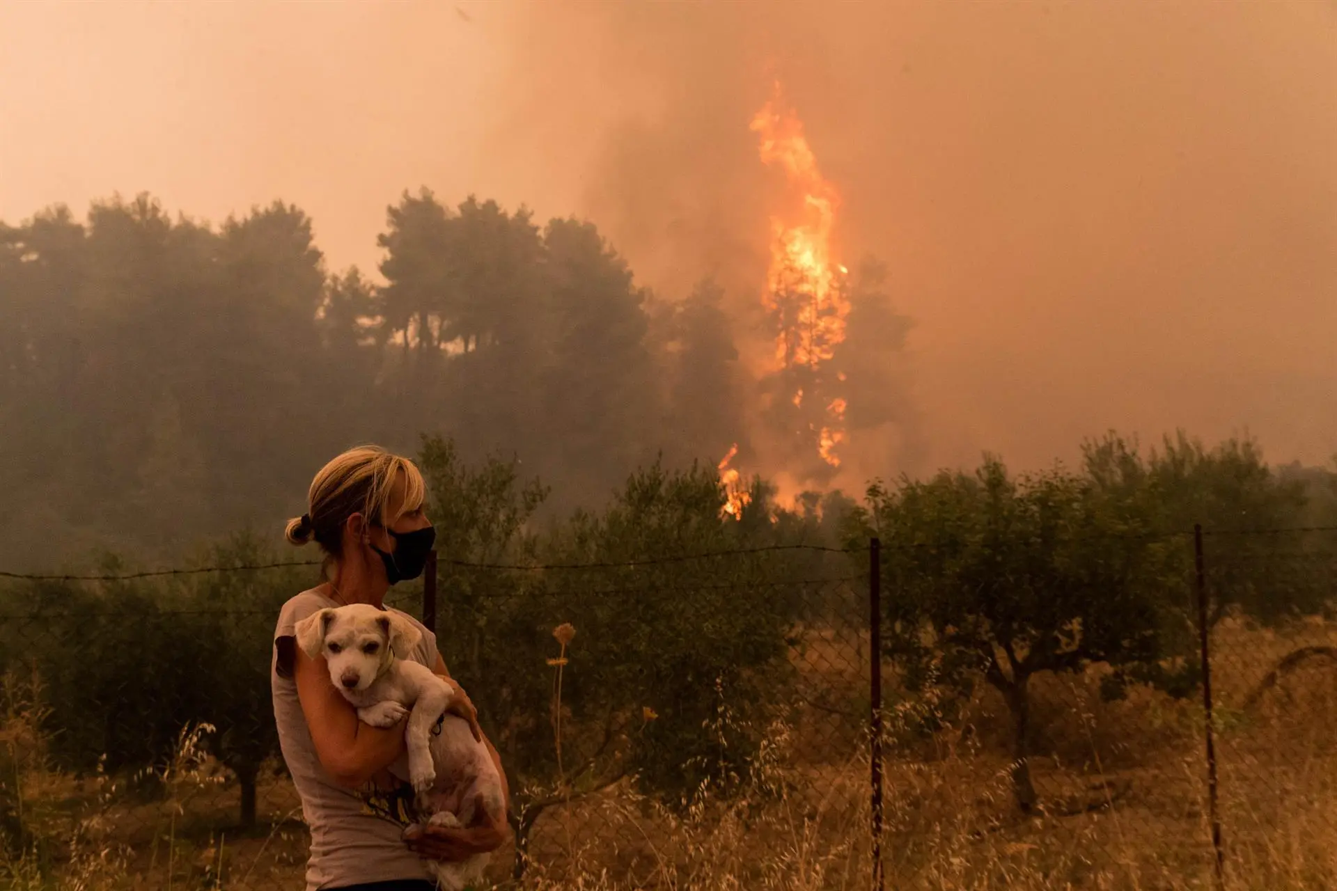 Una mujer sujeta un perro cerca de uno de los incendios en Grecia / Foto: EP