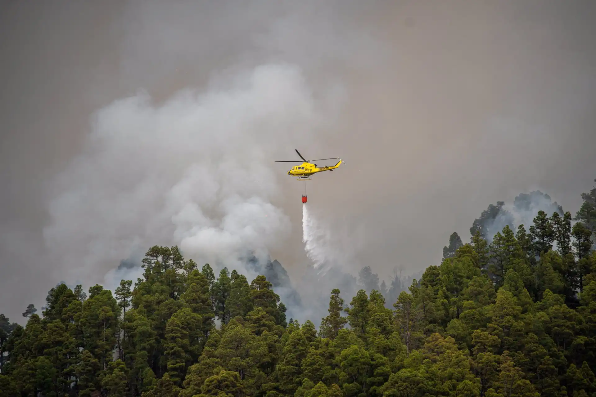La gestión forestal la única manera de apagar los megaincendios forestales. El incendio de La Palma.  / Foto: EP