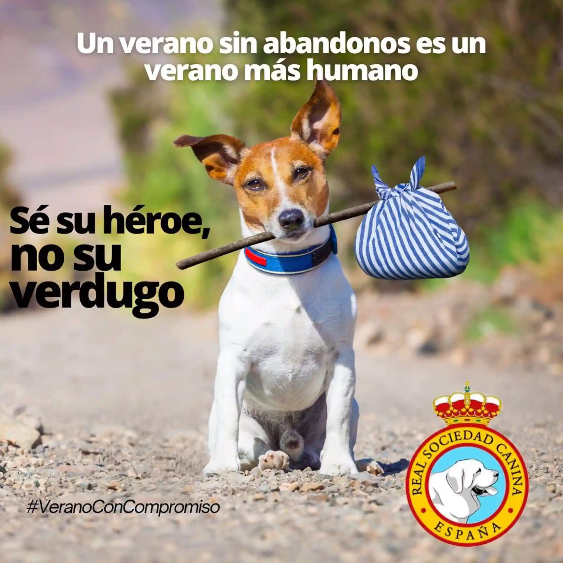 'Un verano más humano es un verano sin abandonos: Sé su héroe, no su verdugo' / Imagen: Real Sociedad Canina de España