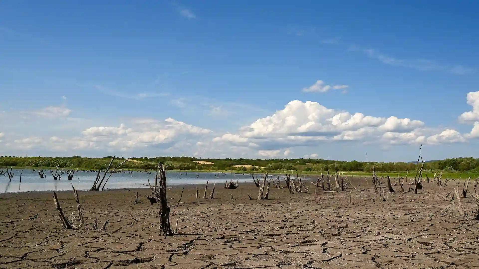 ONG ecologistas destacan la pérdida de escaños de los negacionistas climáticos / Foto: PB