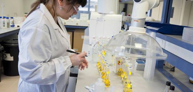 Un miembro del equipo del laboratorio analizando las muestras para identificar los productos contaminantes retirados / Foto: Josep Cano