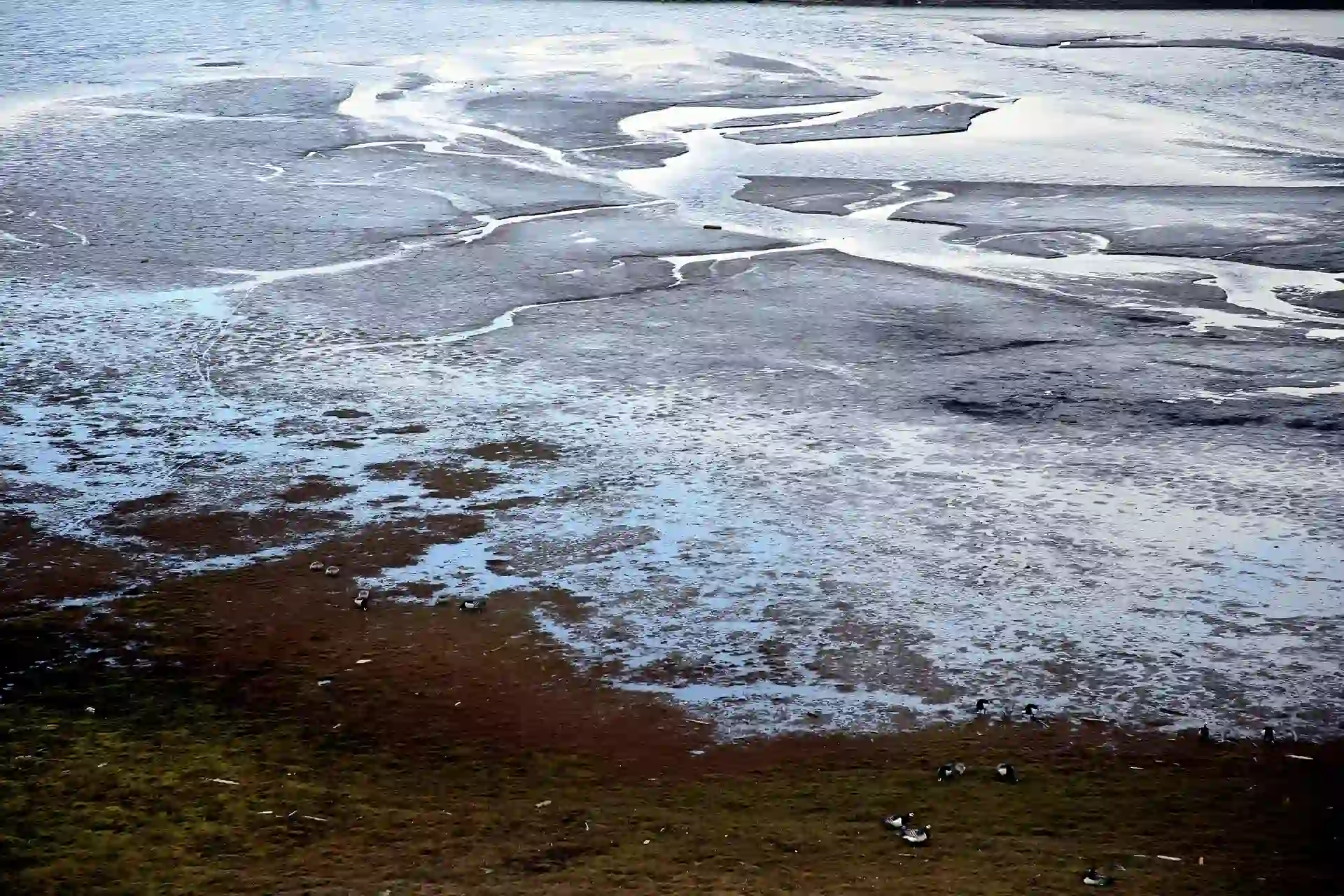 Los patógenos liberados por el permafrost derretido pueden representar un riesgo / Foto: PB