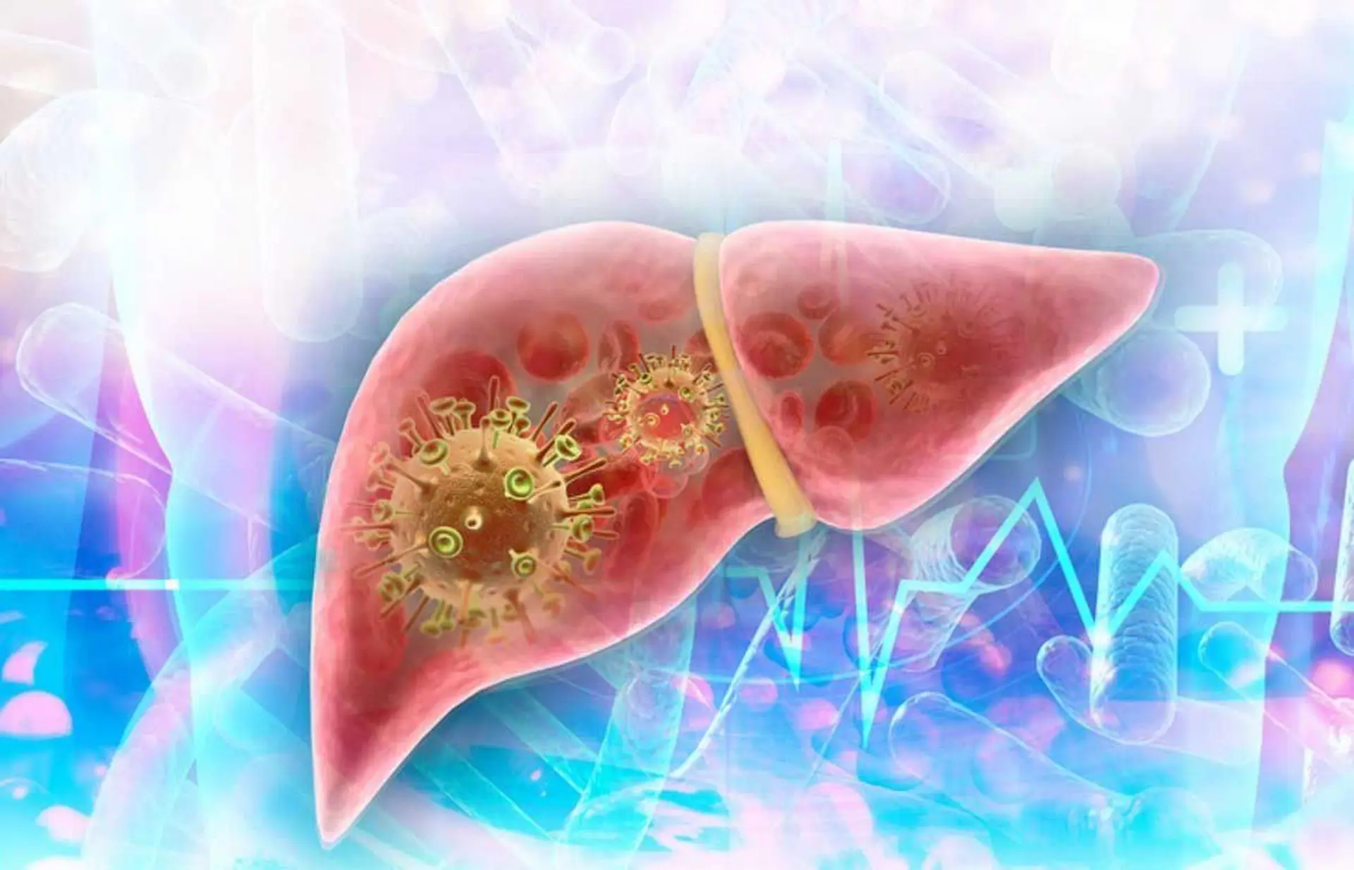 Virus de la hepatitis en el hígado. Día Mundial contra la Hepatitis 2023 / Imagen: EP