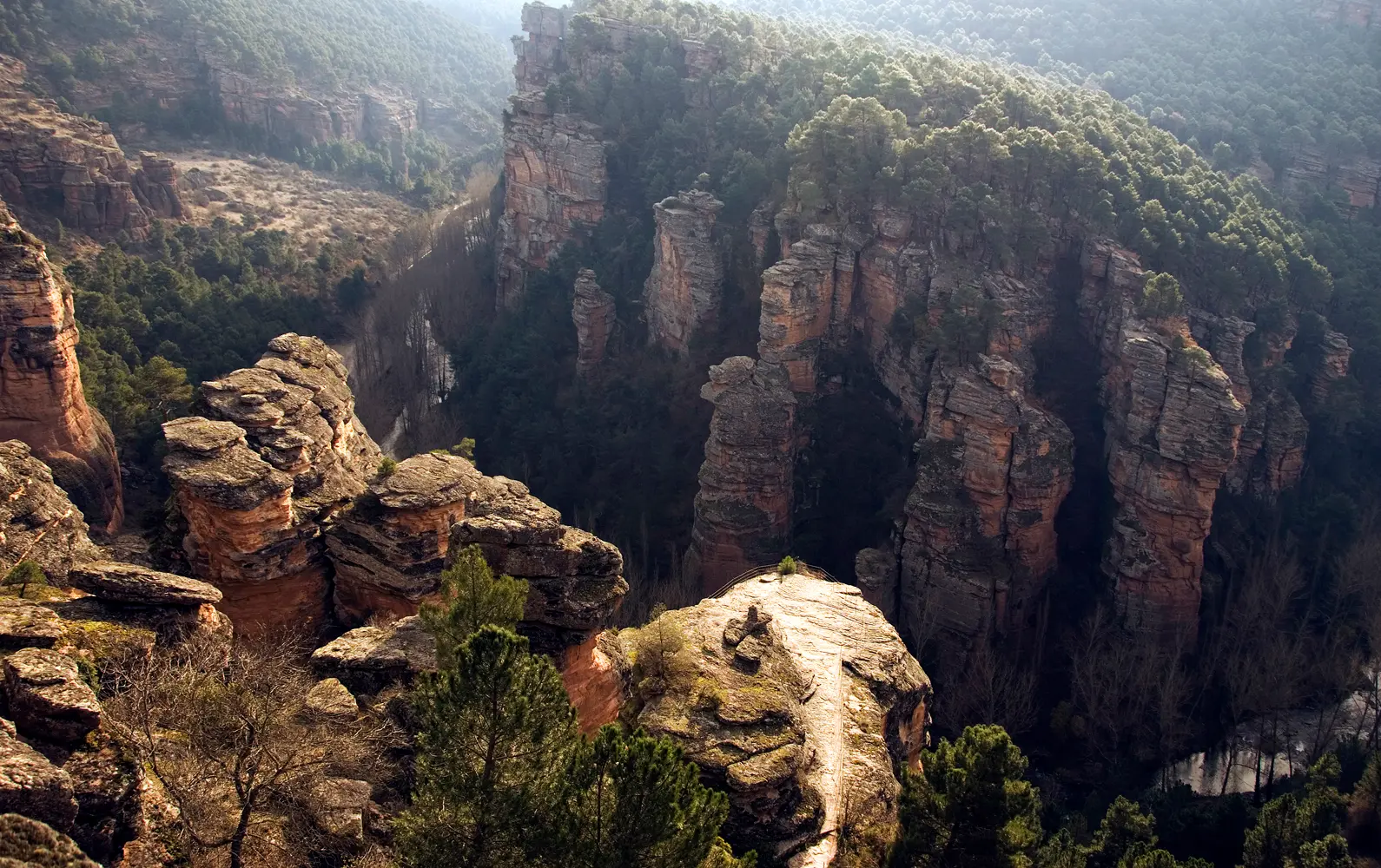 Geoparque Mundial de la UNESCO, Molina-Alto Tajo. Barranco de la Hoz / Foto: Instituto Geológico y Minero de España