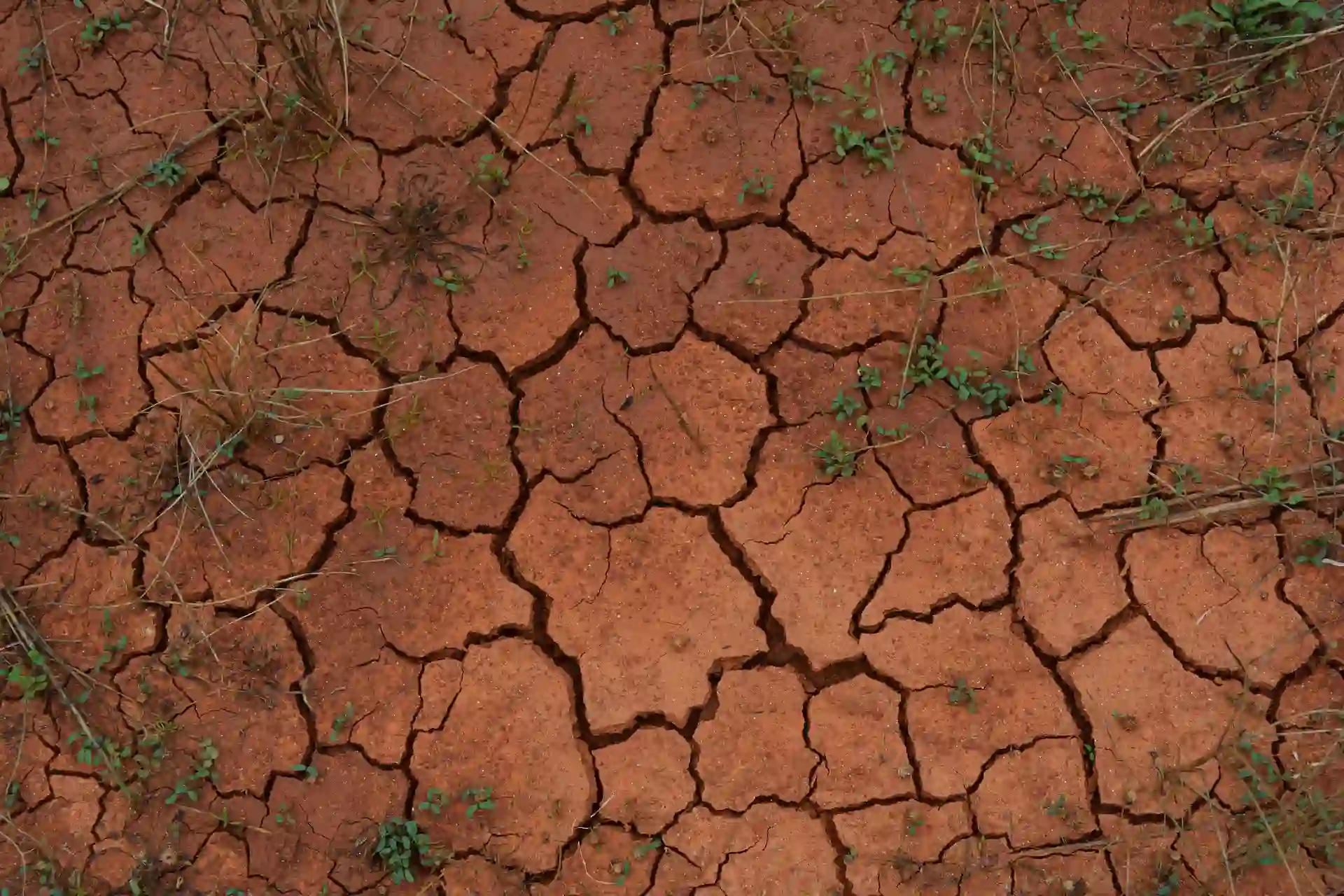 España es uno de los países más afectados por la degradación del suelo en Europa. Urge aumentar la materia orgánica / Foto: PB