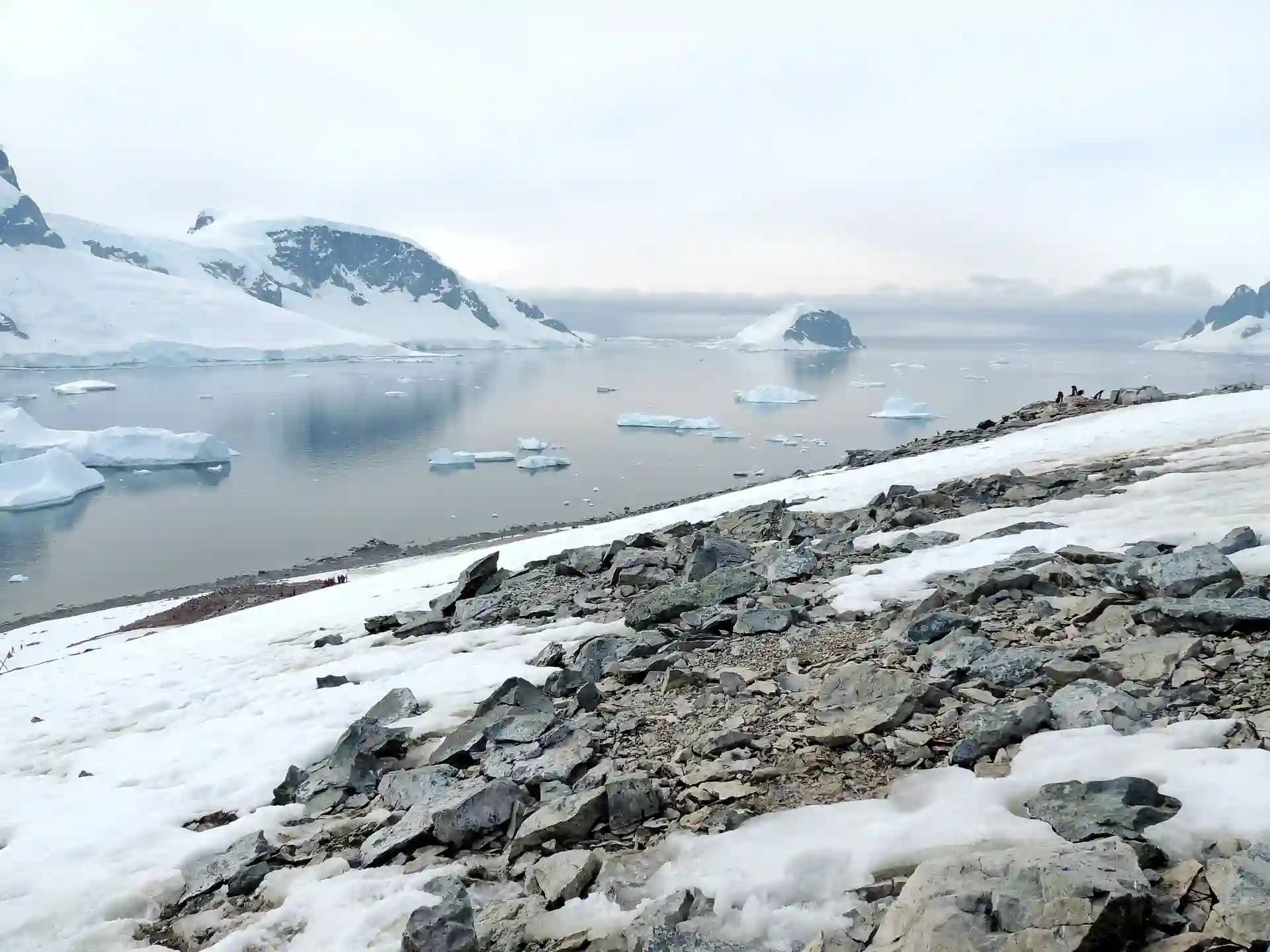 En pleno invierno antártico, grandes áreas marinas libres de hielo / Foto: PB