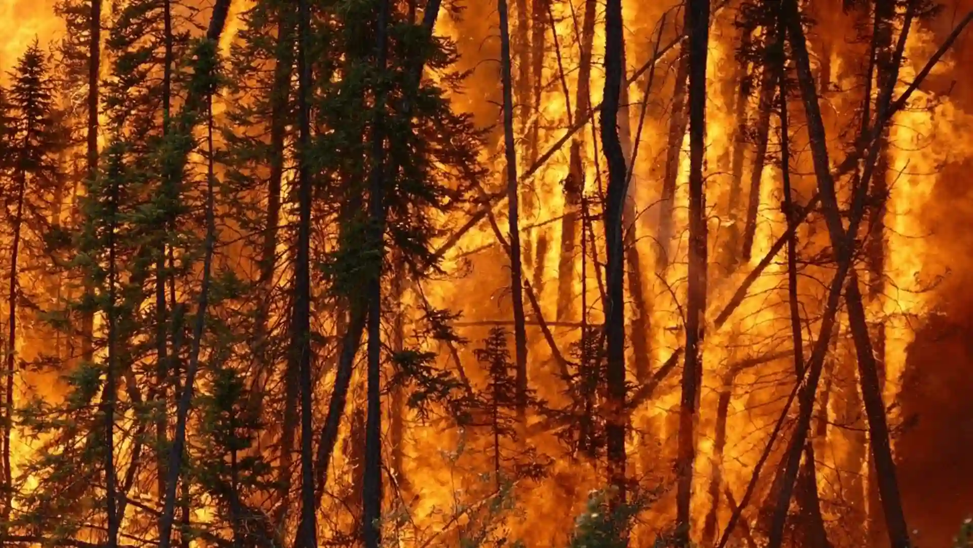 Incendio boreal en Canadá / Foto: Archivo - EP