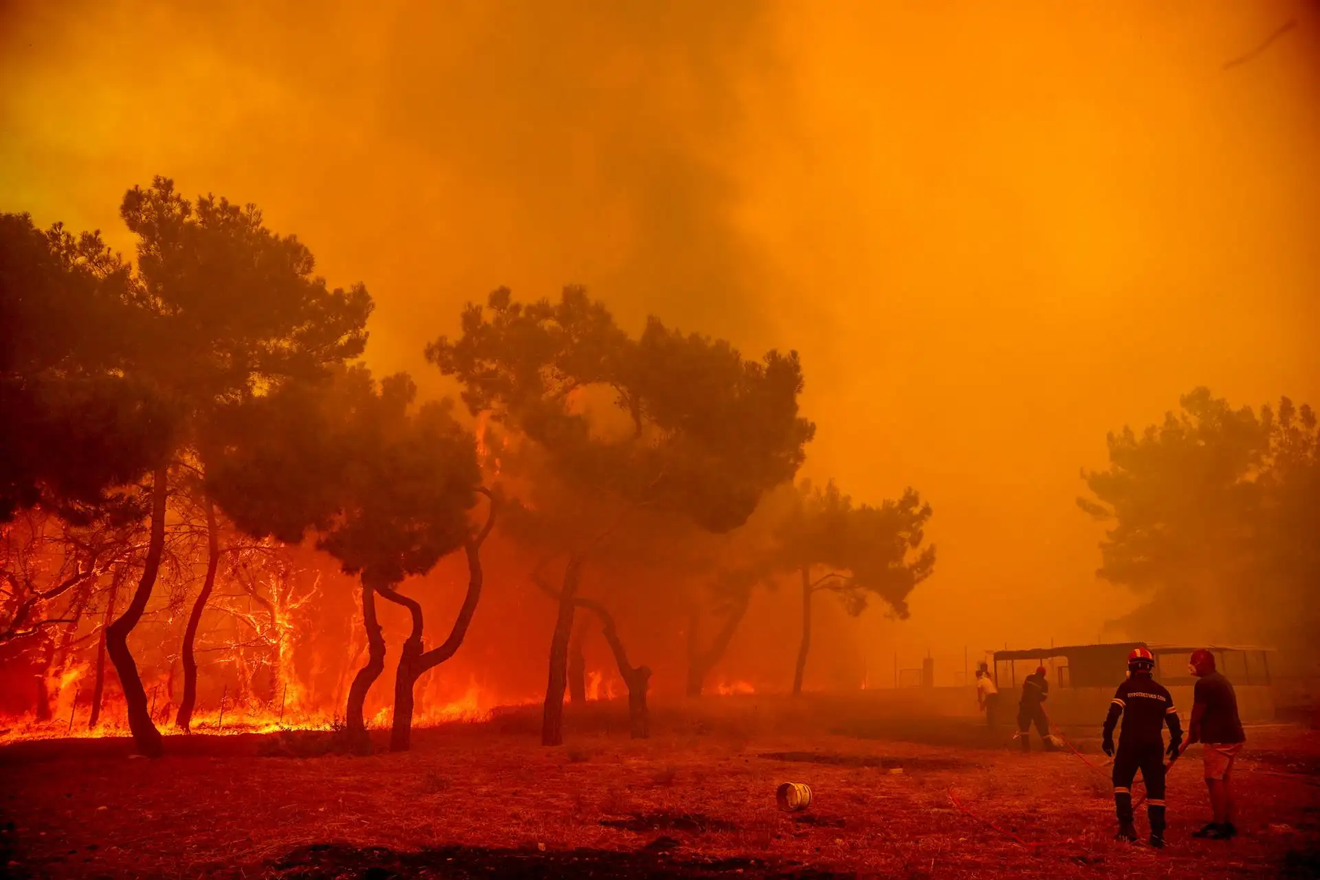 "España puede arder como Grecia". Abandono rural, cambio climático y falta de prevención. Incendio en Grecia 23 July 2022 / Foto: EP