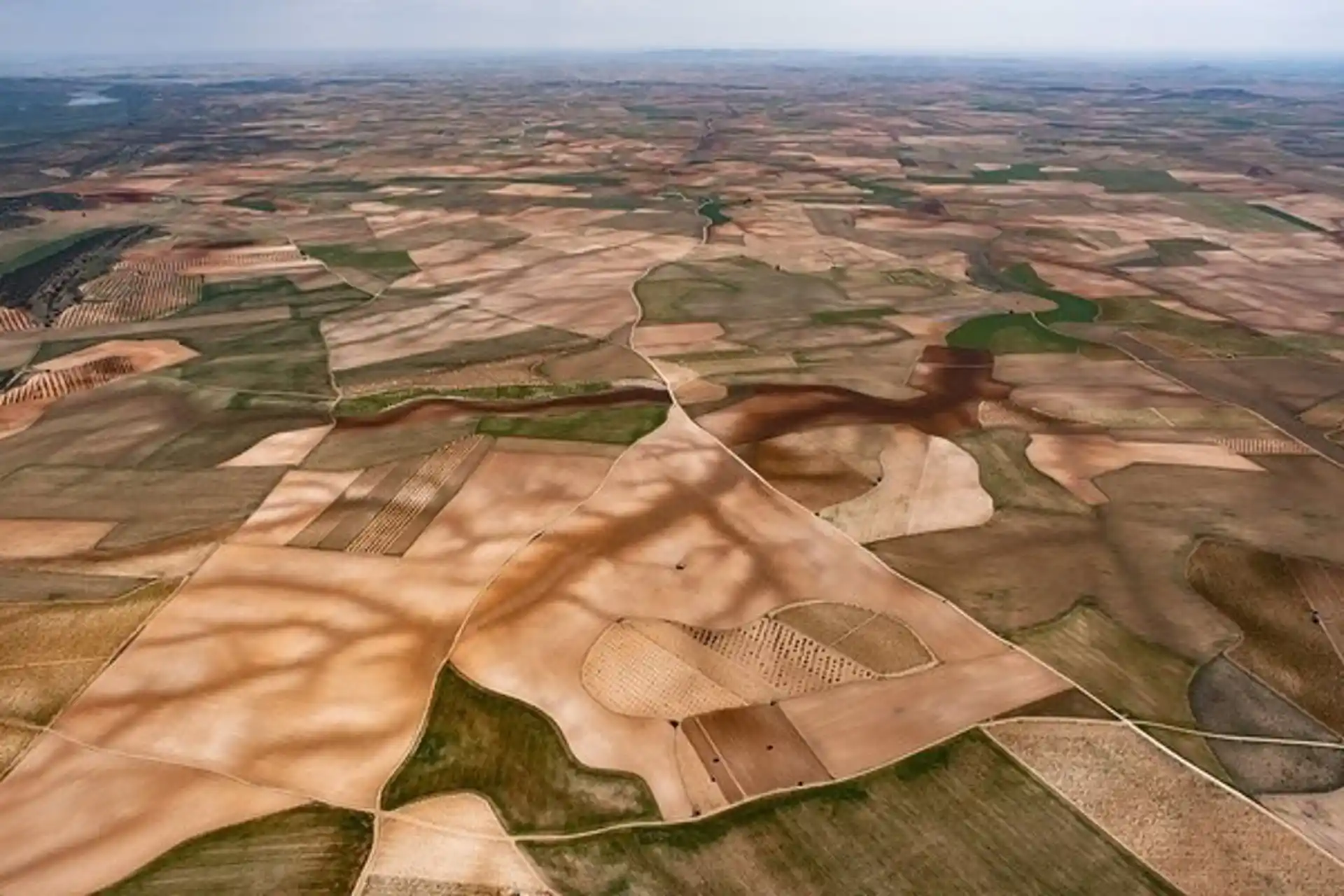 El 75% del suelo español tiene riesgo de desertificación / Foto: Pedro Armestre