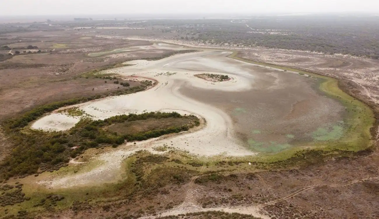 Imagen aérea de la laguna de Santa Olalla el 9 de agosto de 2023 / Foto: Carlos Ruiz-CSIC