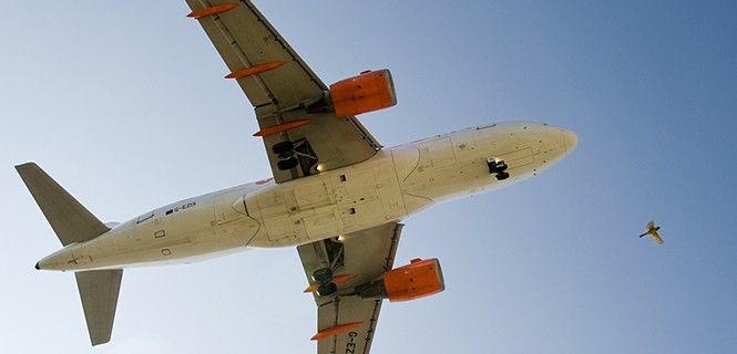 Un avión aterriza en el aeropuerto barcelonés del Prat / Foto: Josep Cano