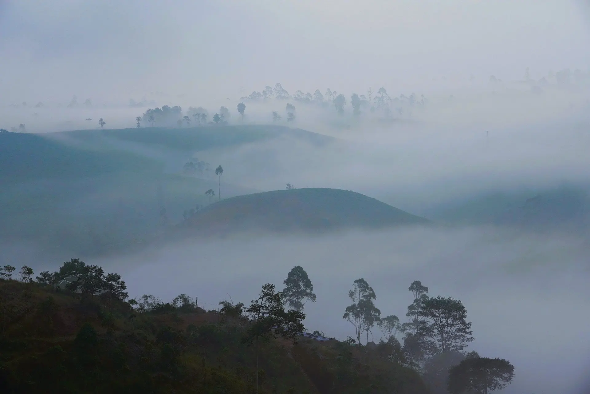 La 'pandemia ambiental', una de las consecuencias de la cultura humana occidental actual / Foto: PB