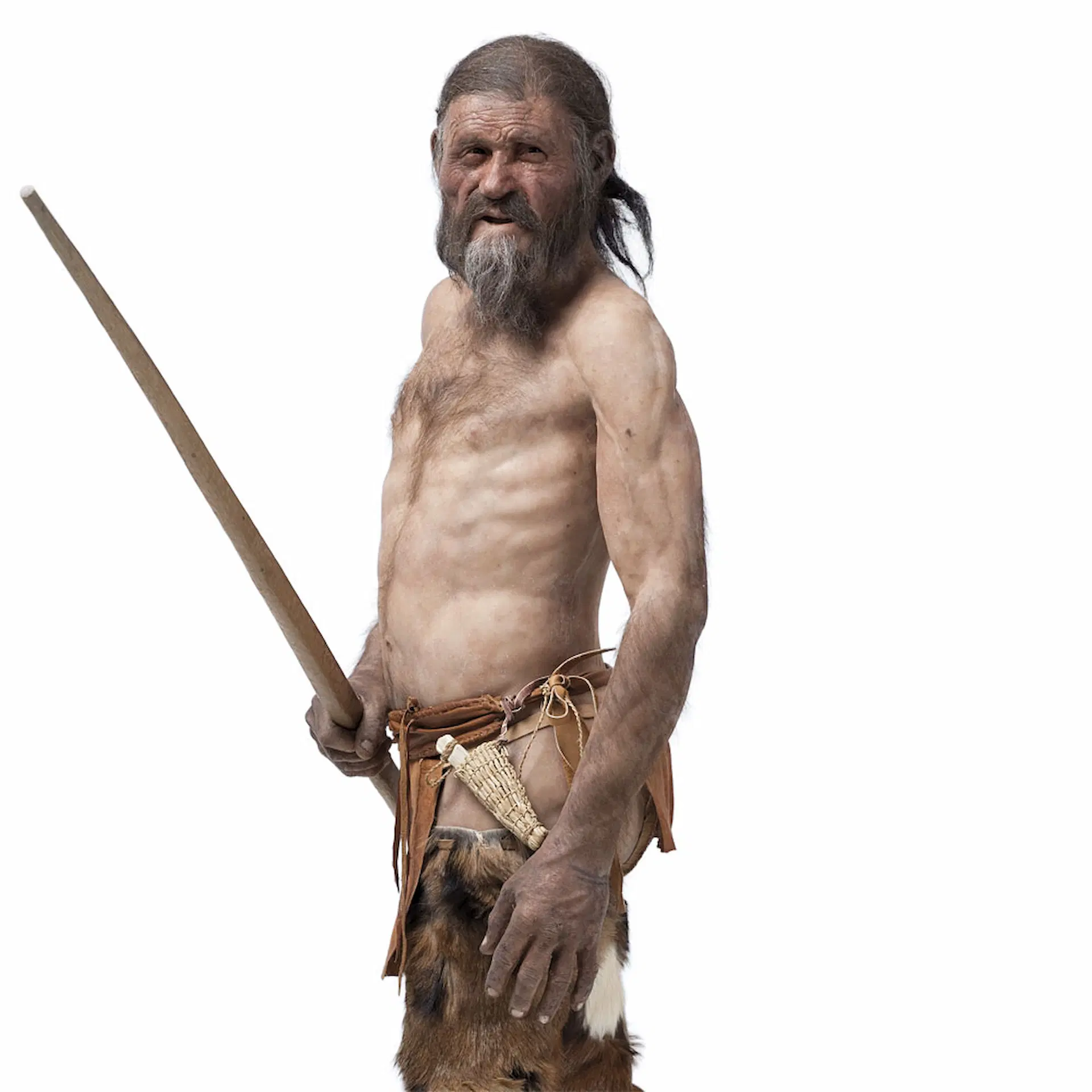 Reconstrucción de Ötzi, el hombre de los hielos, se muestra en una exhibición en el Museo de Arqueología del Tirol del Sur / Imagen: Museo de Arqueología del Tirol del Sur