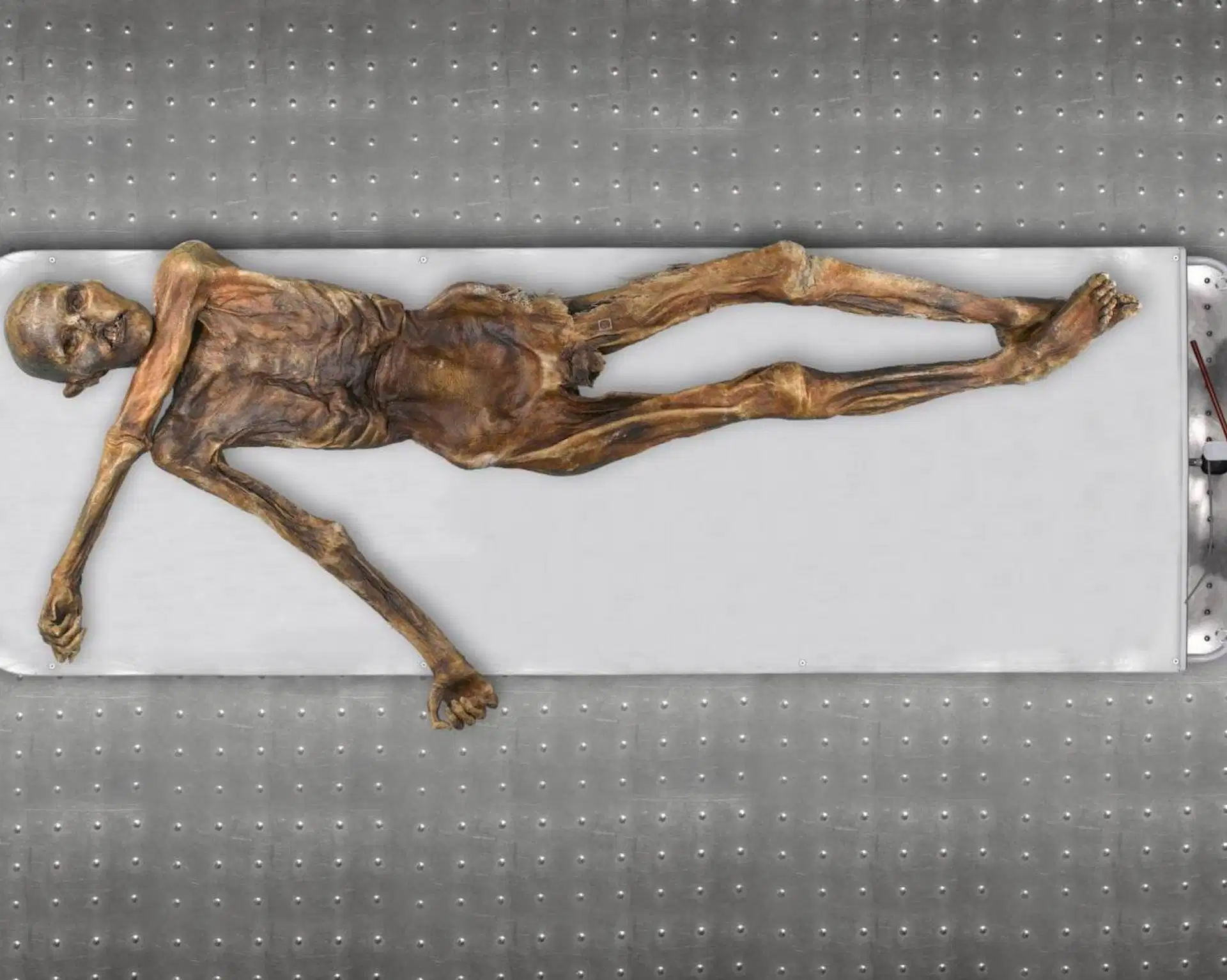 Hombre de hielo del Neolítico tirolés Ötzi, descubierto por unos montañistas en los Alpes en 1991 / Foto: Imagen: Museo de Arqueología del Tirol del Sur
