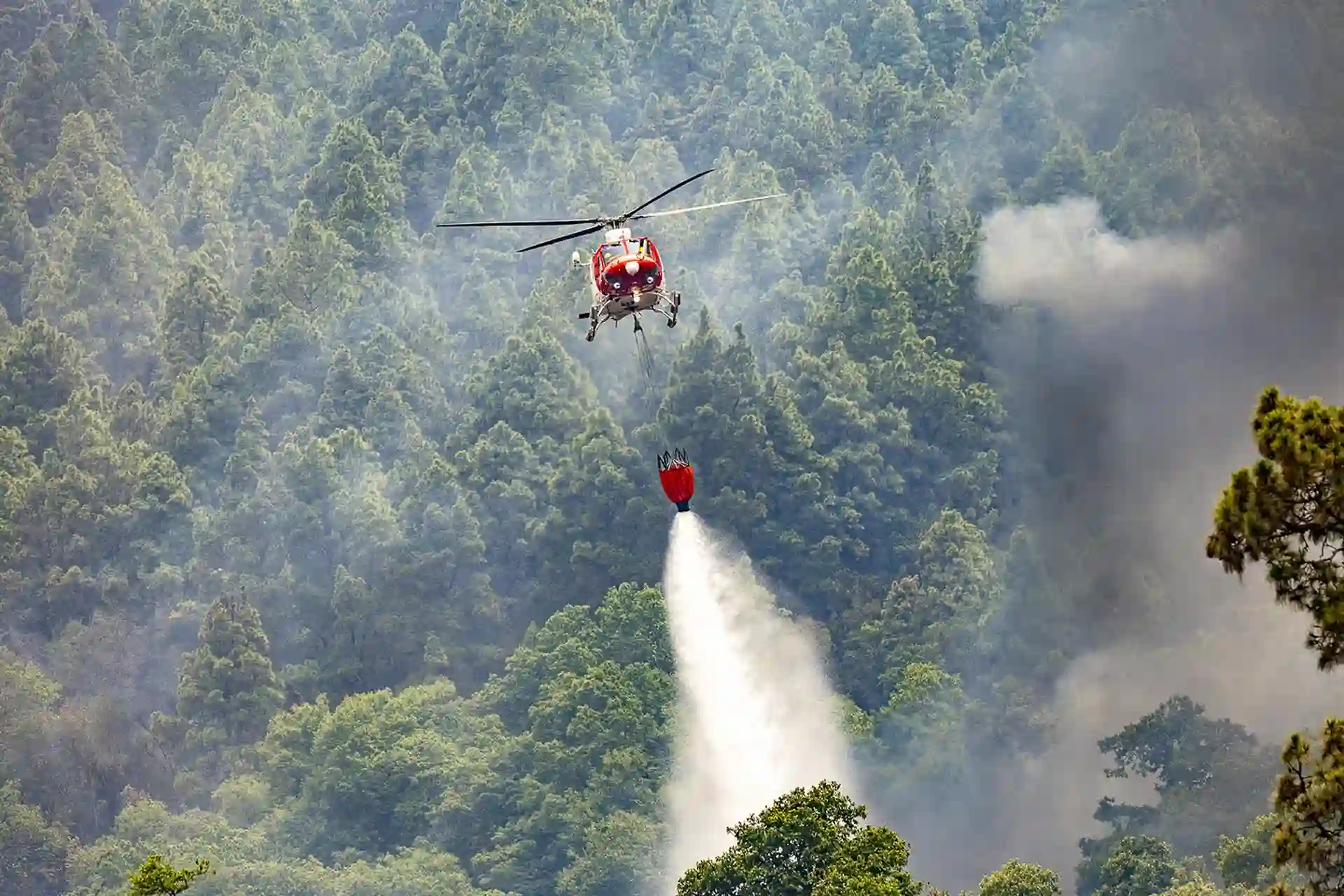 Un hidroavión trabaja en la extinción del incendio forestal, a 19 de agosto de 2023, en La Orotava, Tenerife, Islas Canarias (España)