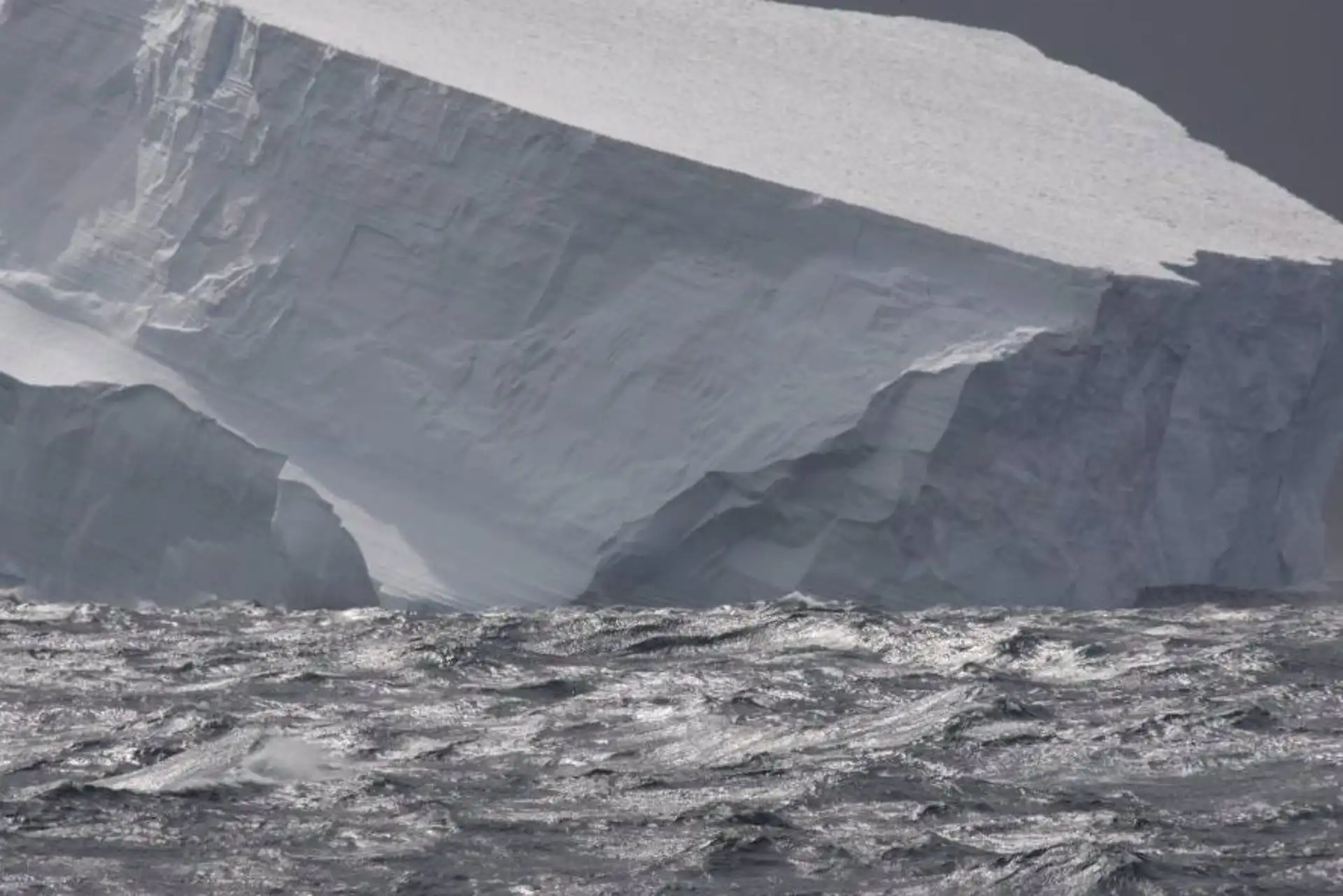 El Océano Austral controla la absorción de calor y carbono generados por el hombre en el océano. Iceberg en el Océano Austral / Foto: Richard Turner