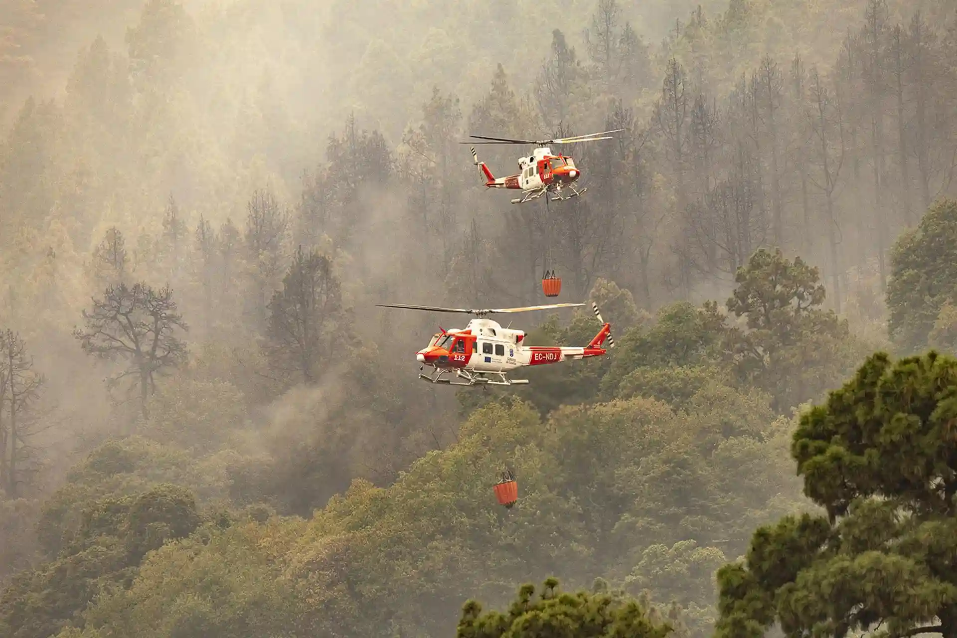 Escaso presupuesto destinado a la gestión forestal en España. Hidroaviones trabajan en la extinción del incendio forestal en La Orotava, Tenerife / Foto: EP