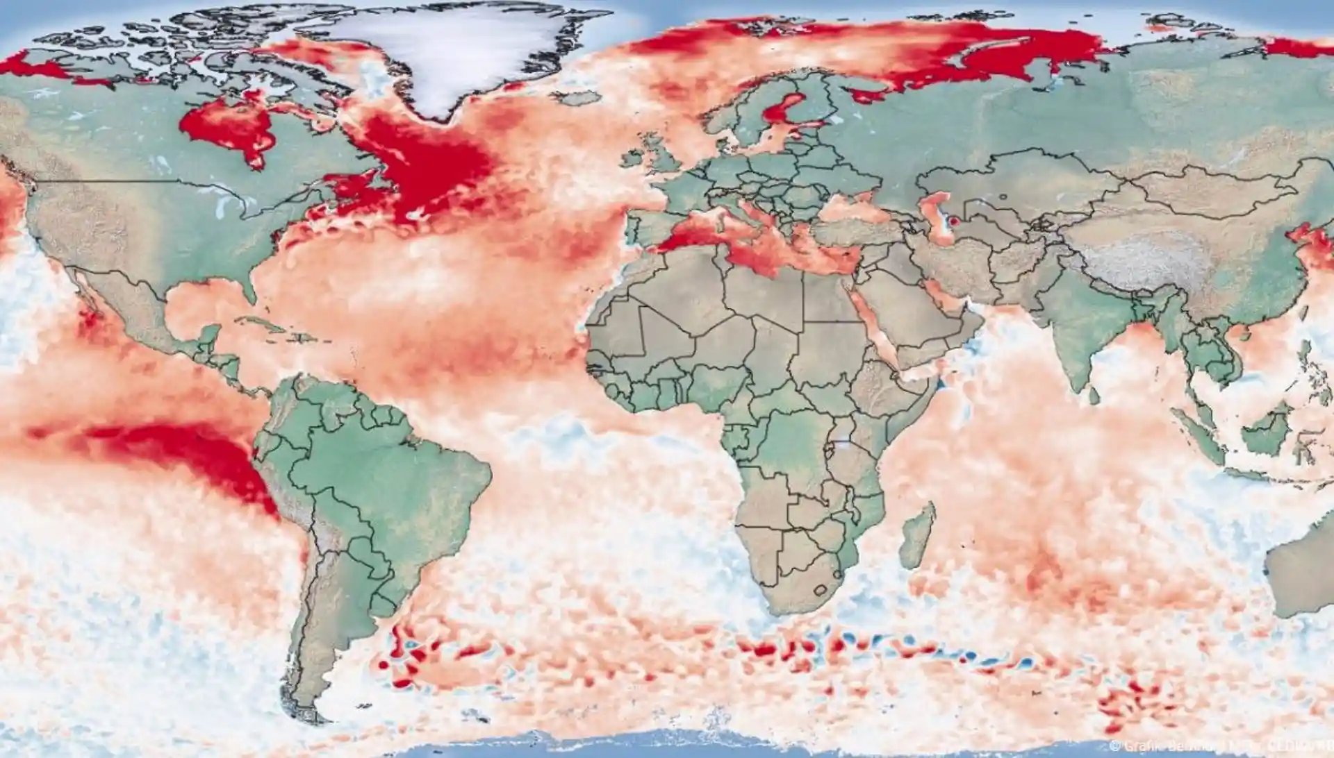 Anomalía de la temperatura de la superficie del mar el 31 de julio de 2023. Período de referencia 1985 a 2012, datos de NOAA   Coral Reef Watch / Foto: EP