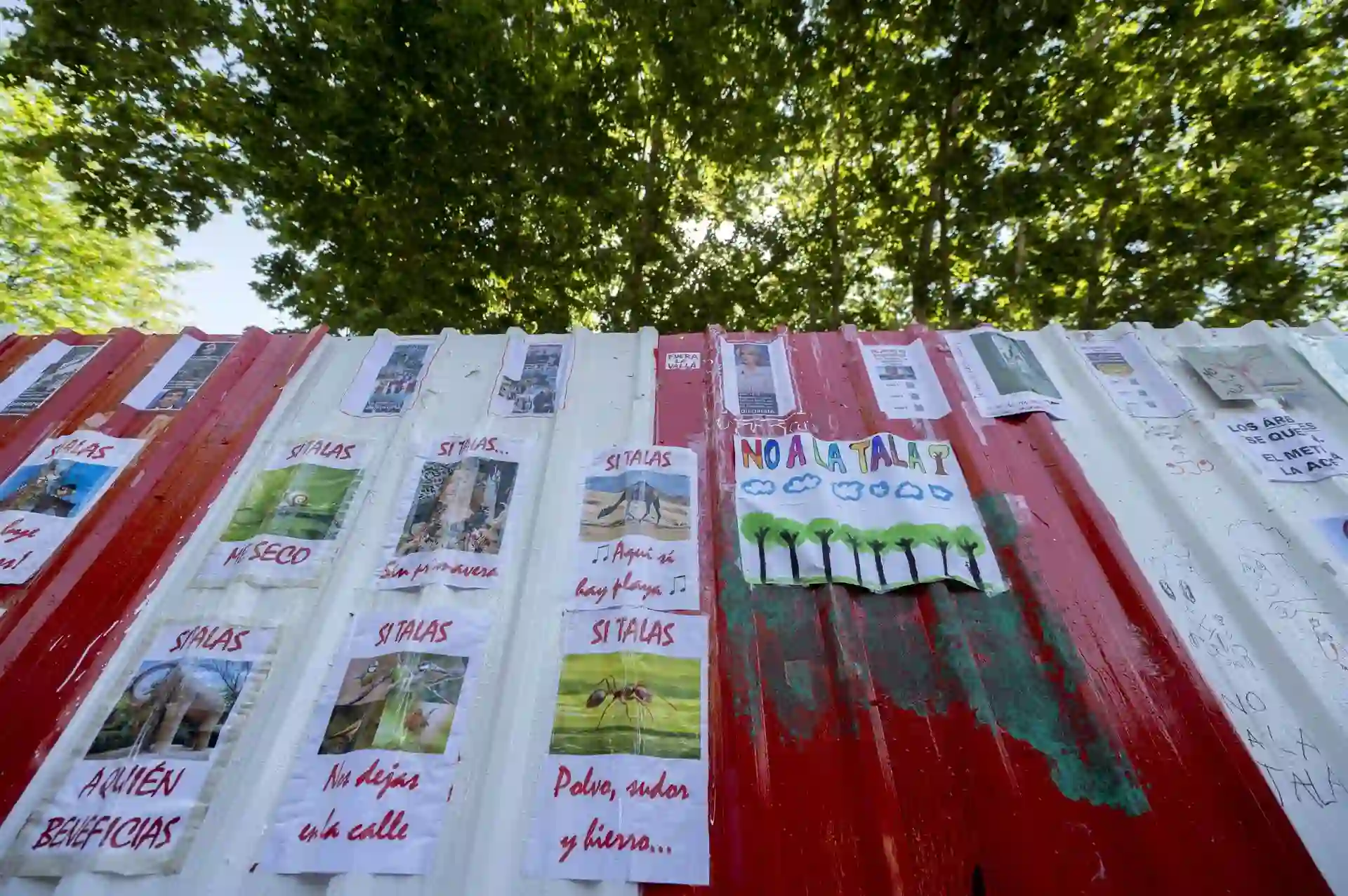 Carteles de protesta por la tala de 1.027 autorizada por el Ayuntamiento de Madrid. Defensor del Pueblo pide un nuevo informe / Foto: Alberto Ortega