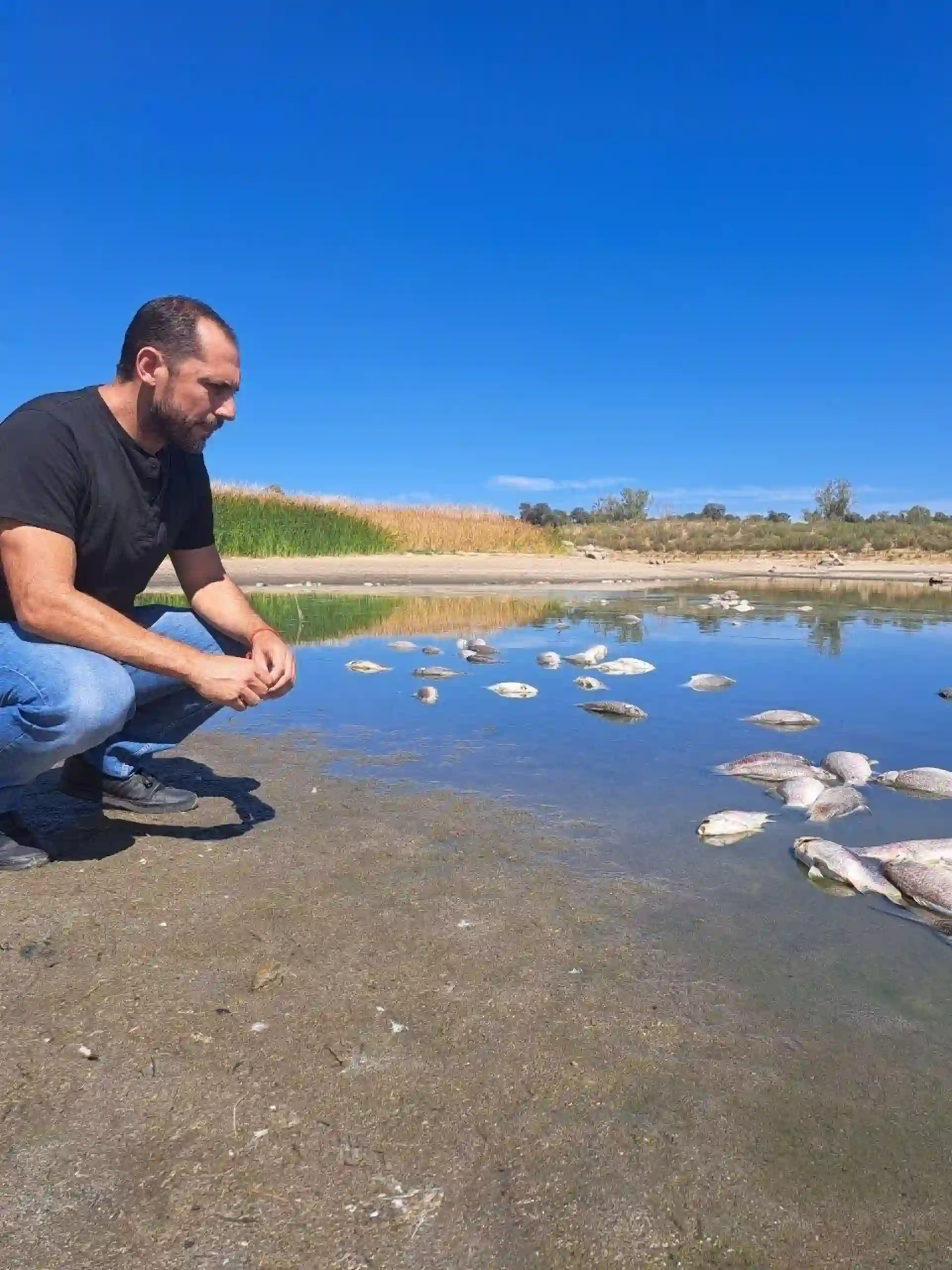 Centenares de peces muertos por contaminación en el embalse de La Colada en Córdoba / Foto: IU