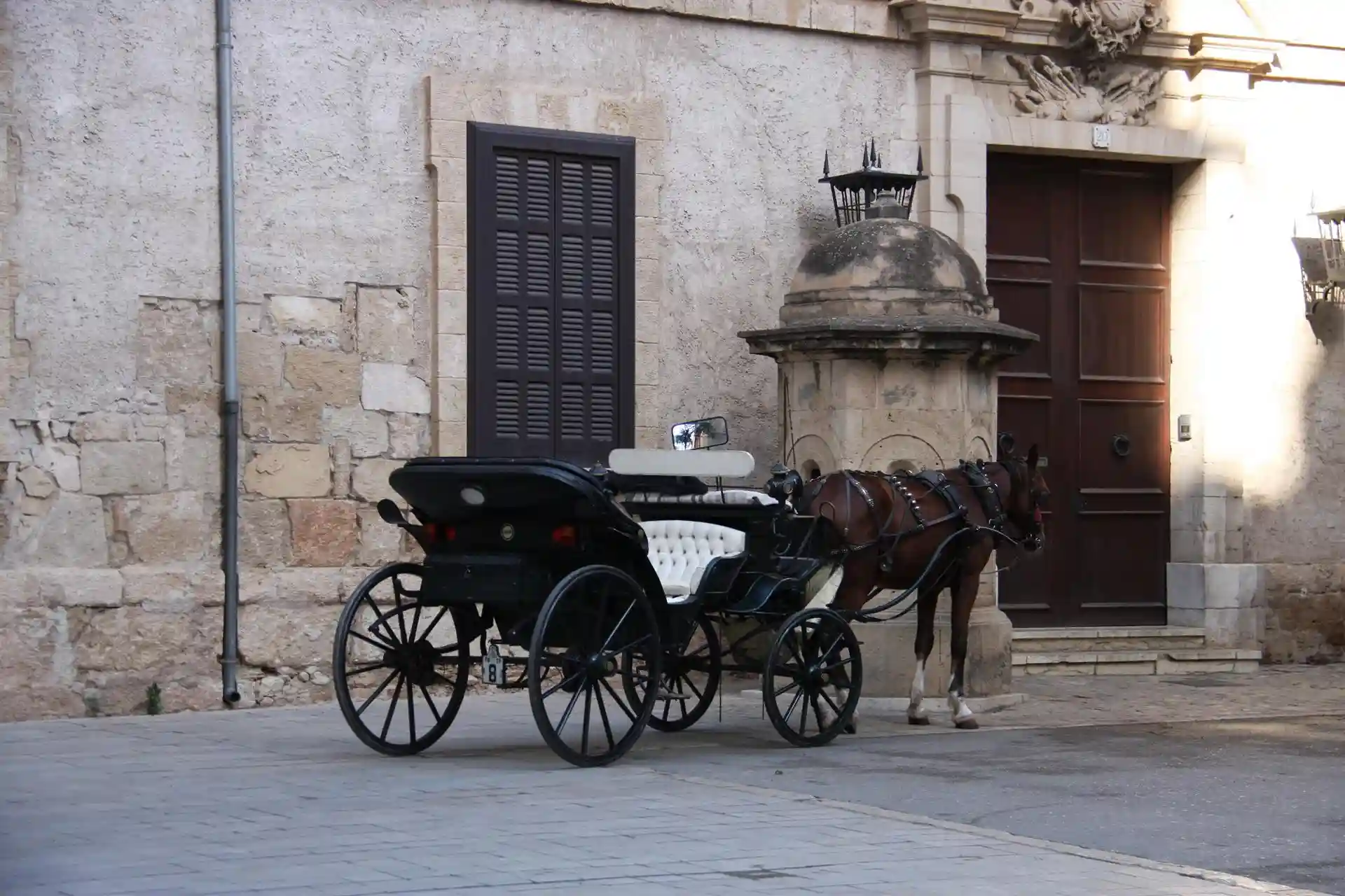 Otro caballo cojo en las calesas de Mallorca. Progreso en Verde lo llevará a Fiscalía / Foto: Progreso en Verde