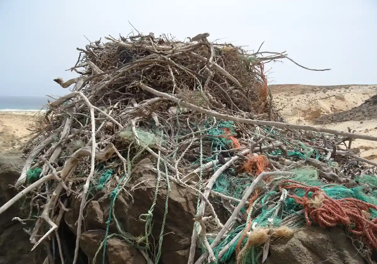 Un nido de águila pescadora hecho de basura / Foto: Pedro López-Suárez - MNCN