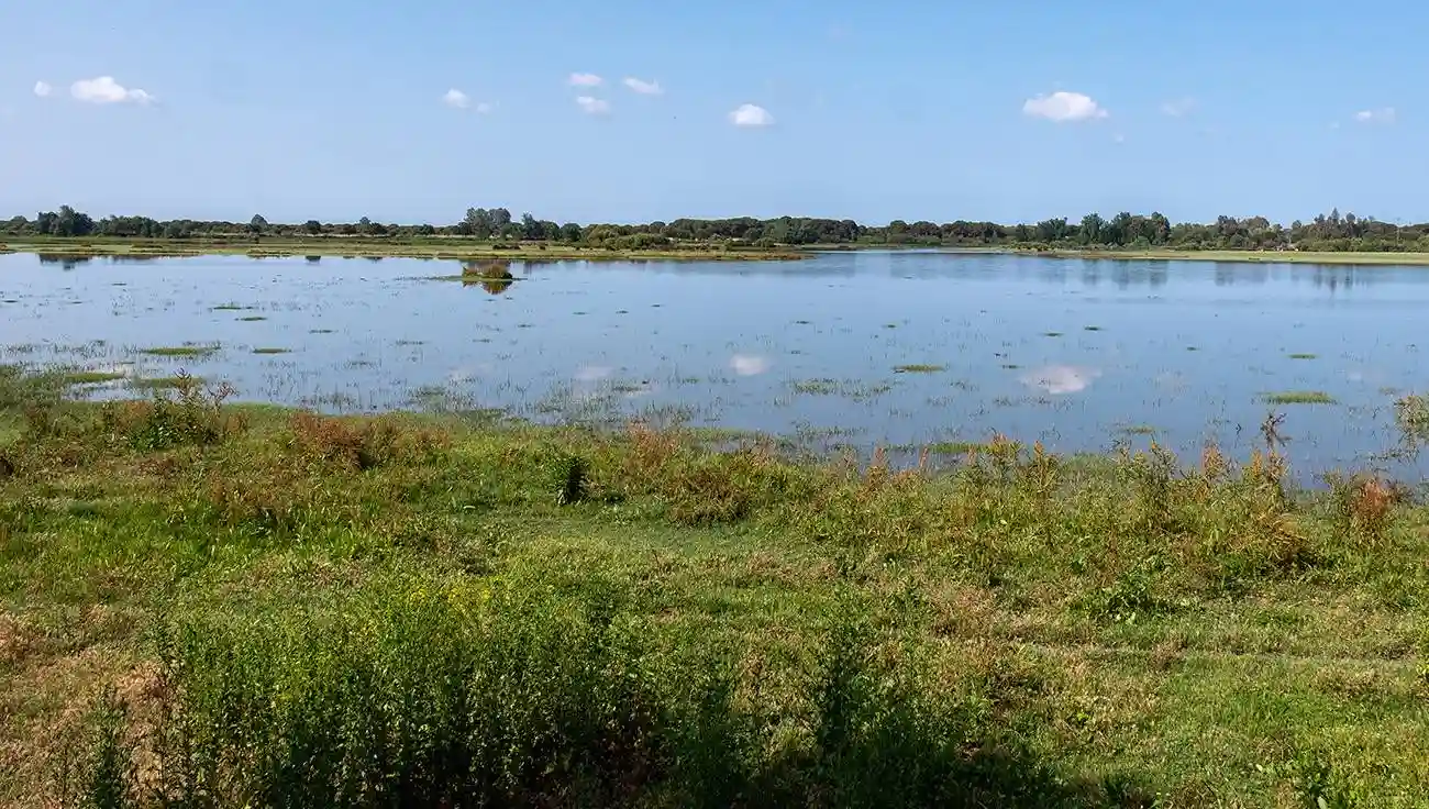 La Unesco pide a España un informe sobre el estado de conservación de Doñana. Marismas / Foto: SINC