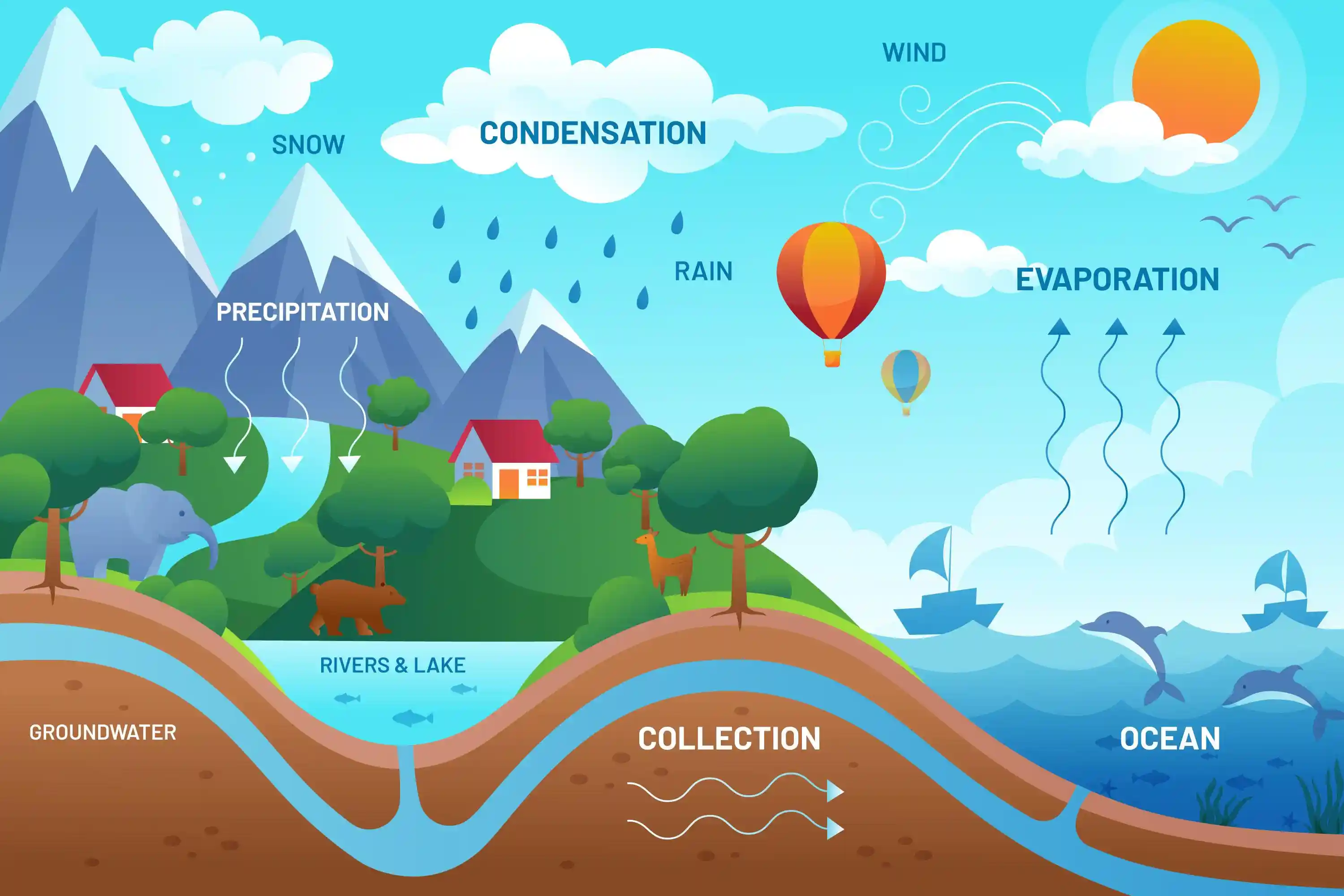Ciclo del agua / Imagen: FP Ciclo del agua / Imagen: FP