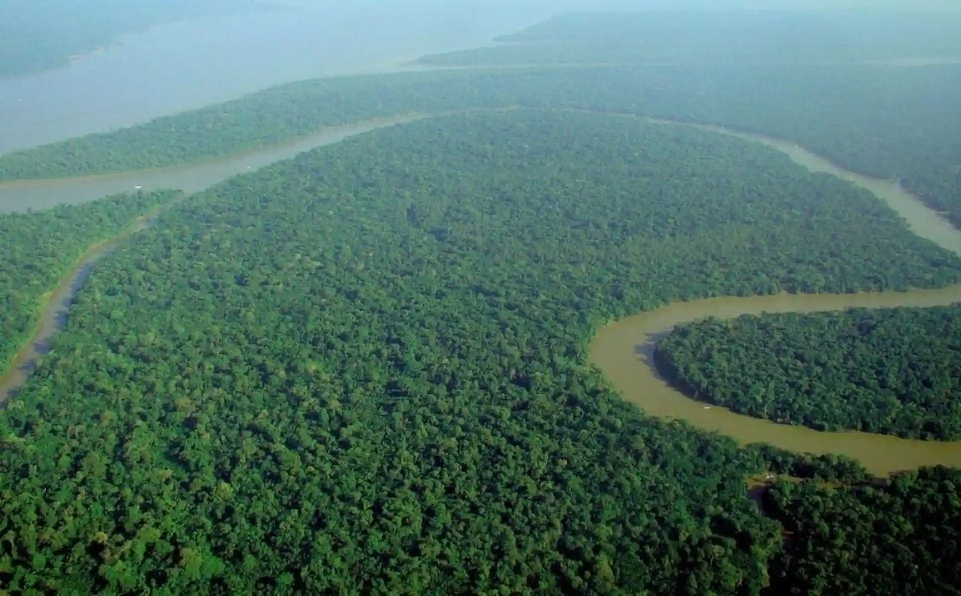 Selva en la Amazonia / Foto: WM