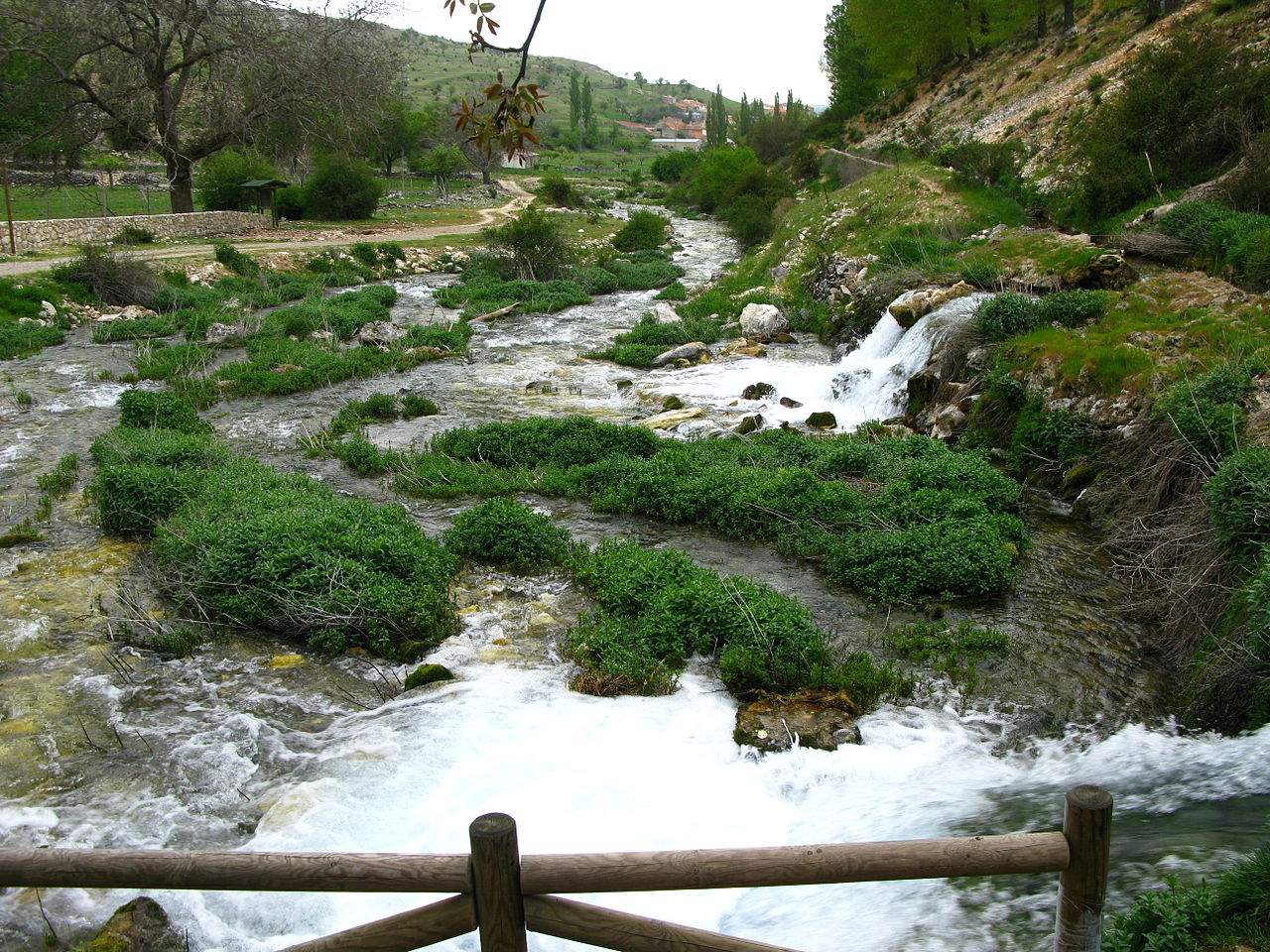 Nacimiento del río Segura en Pontones (Jaén) / Foto: Wikipedia