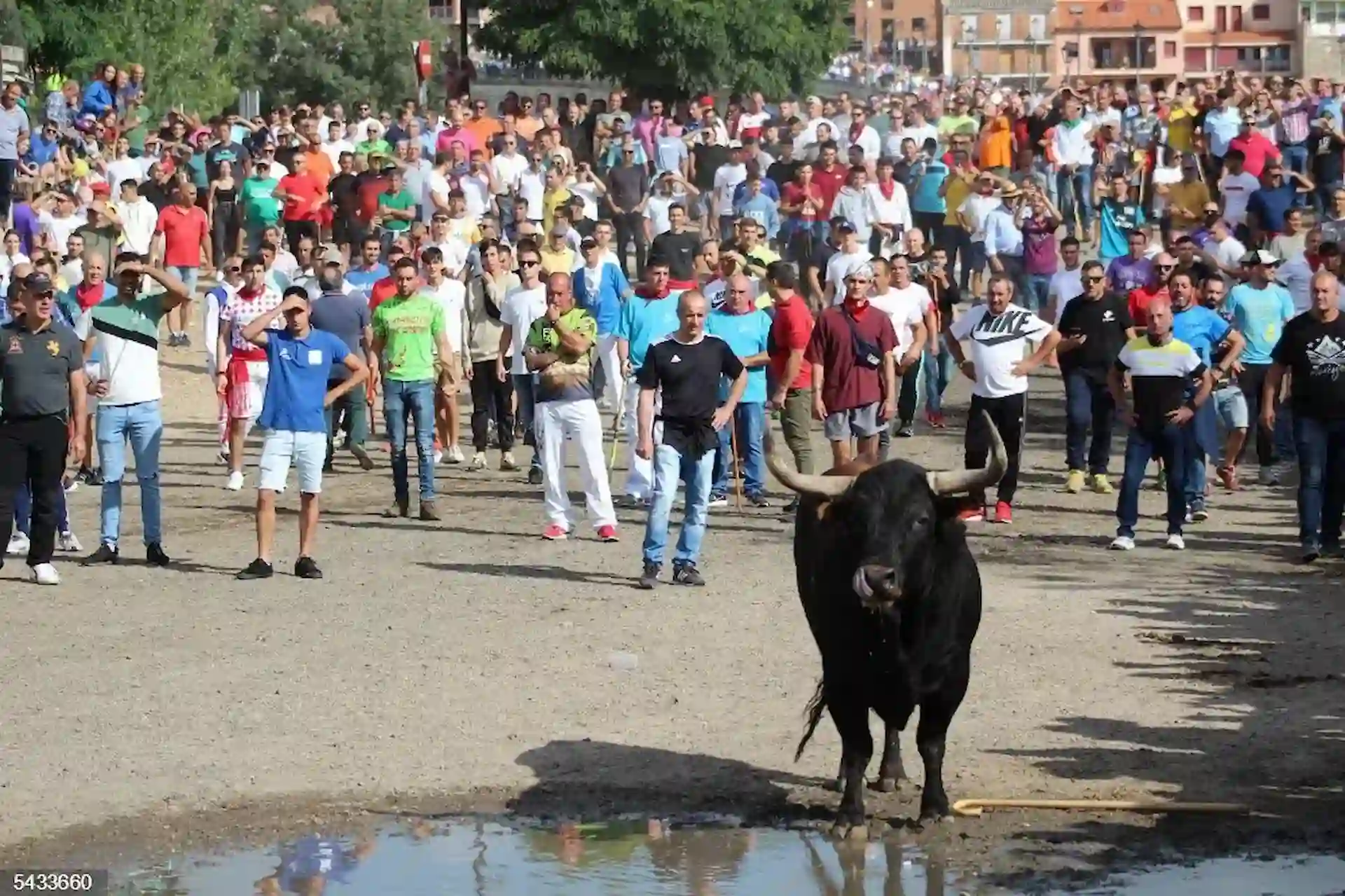 El Toro de la Vega protagoniza un peligroso encierro al romper una talanquera y cornear gravemente a un joven