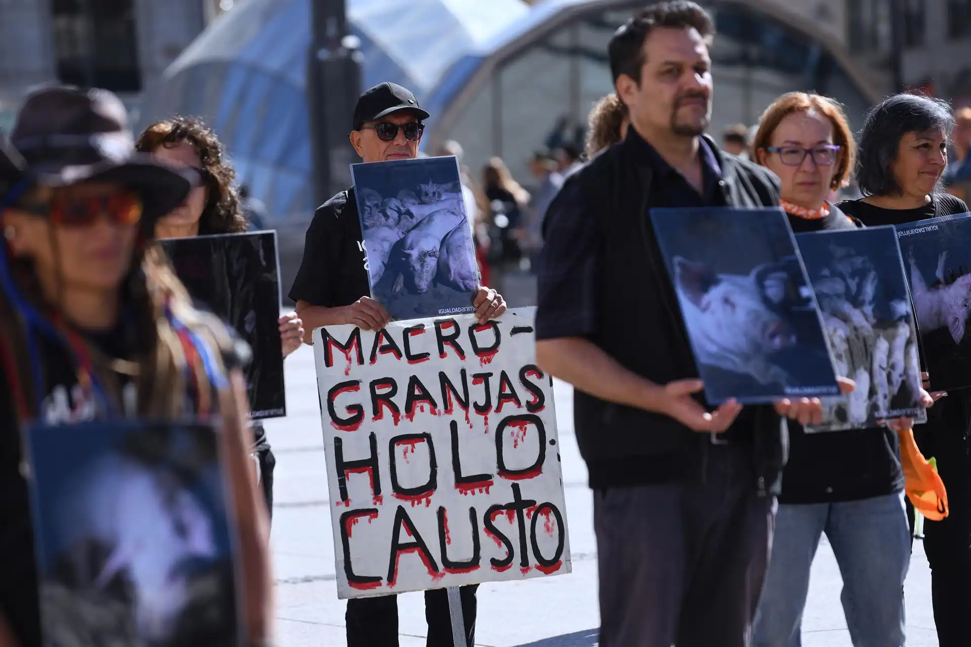 Acción de protesta de activistas de Igualdad Animal, contra el maltrato de los cerdos en las granjas industriales   / Foto: Fernando Sánchez