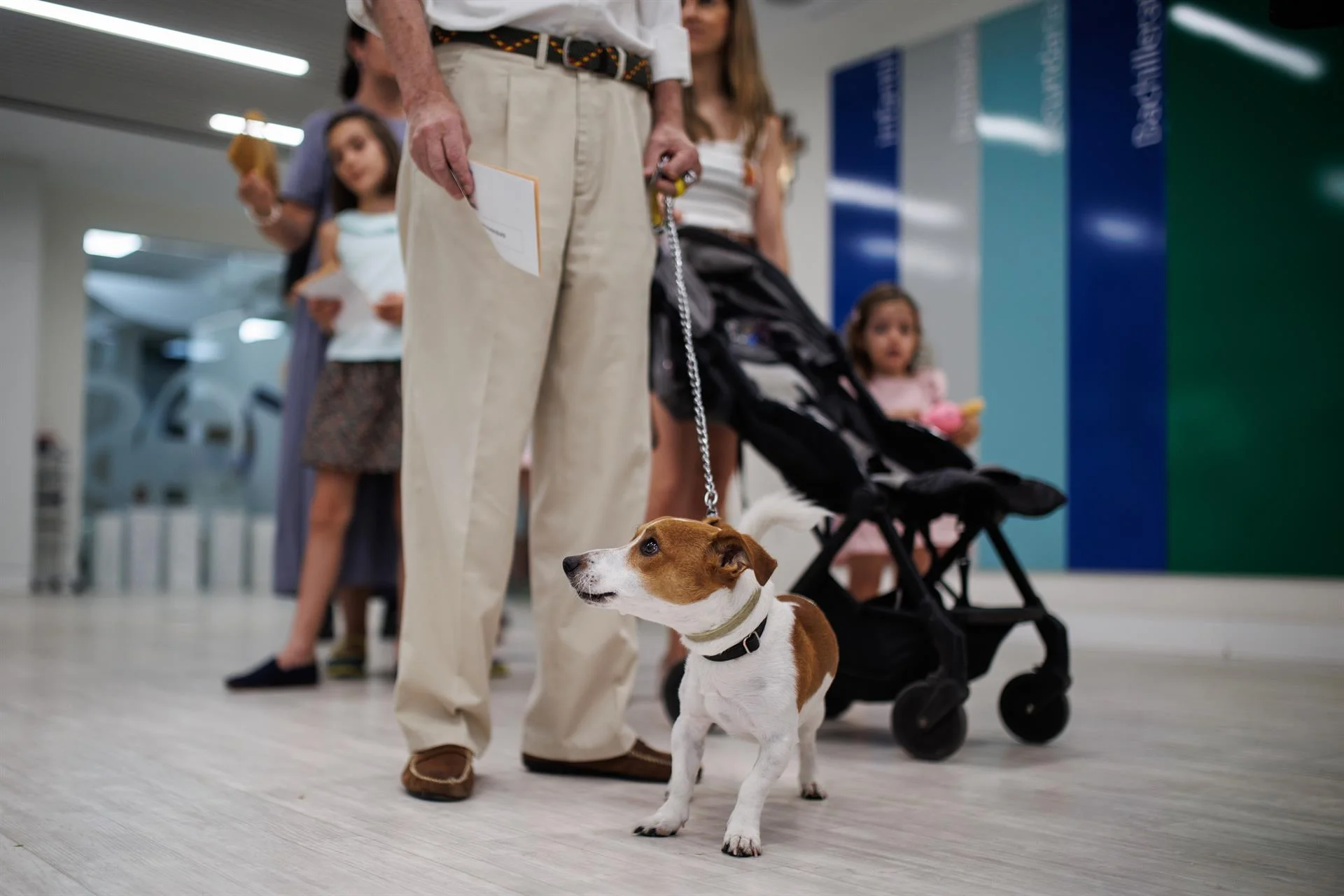 La Ley de Bienestar Animal entra en vigor. Una persona hace cola para ejercer su derecho a voto junto a su perro / Foto: Alejandro Martínez Vélez - EP