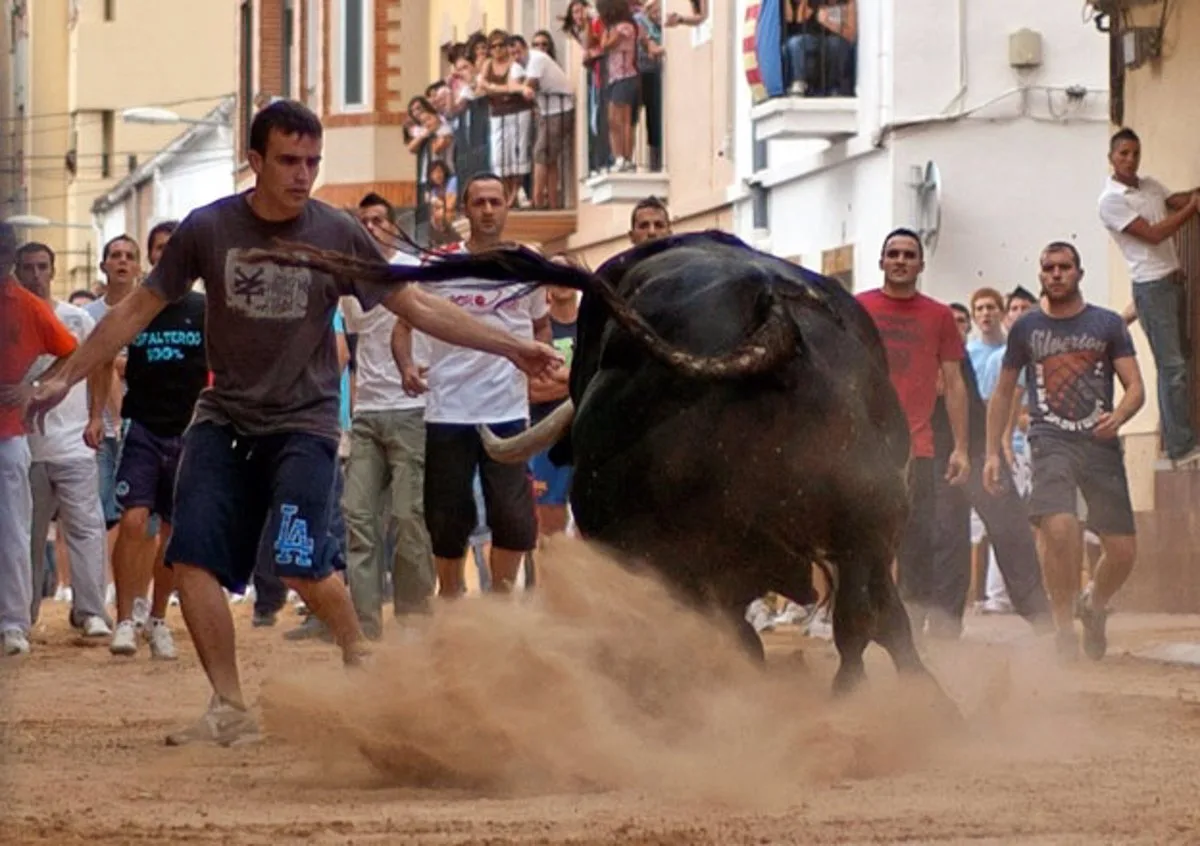 Para PACMA los 'bous al carrer' no son ni "tradición ni cultura", sino maltrato animal y un peligro para la ciudadanía / Foto: EP