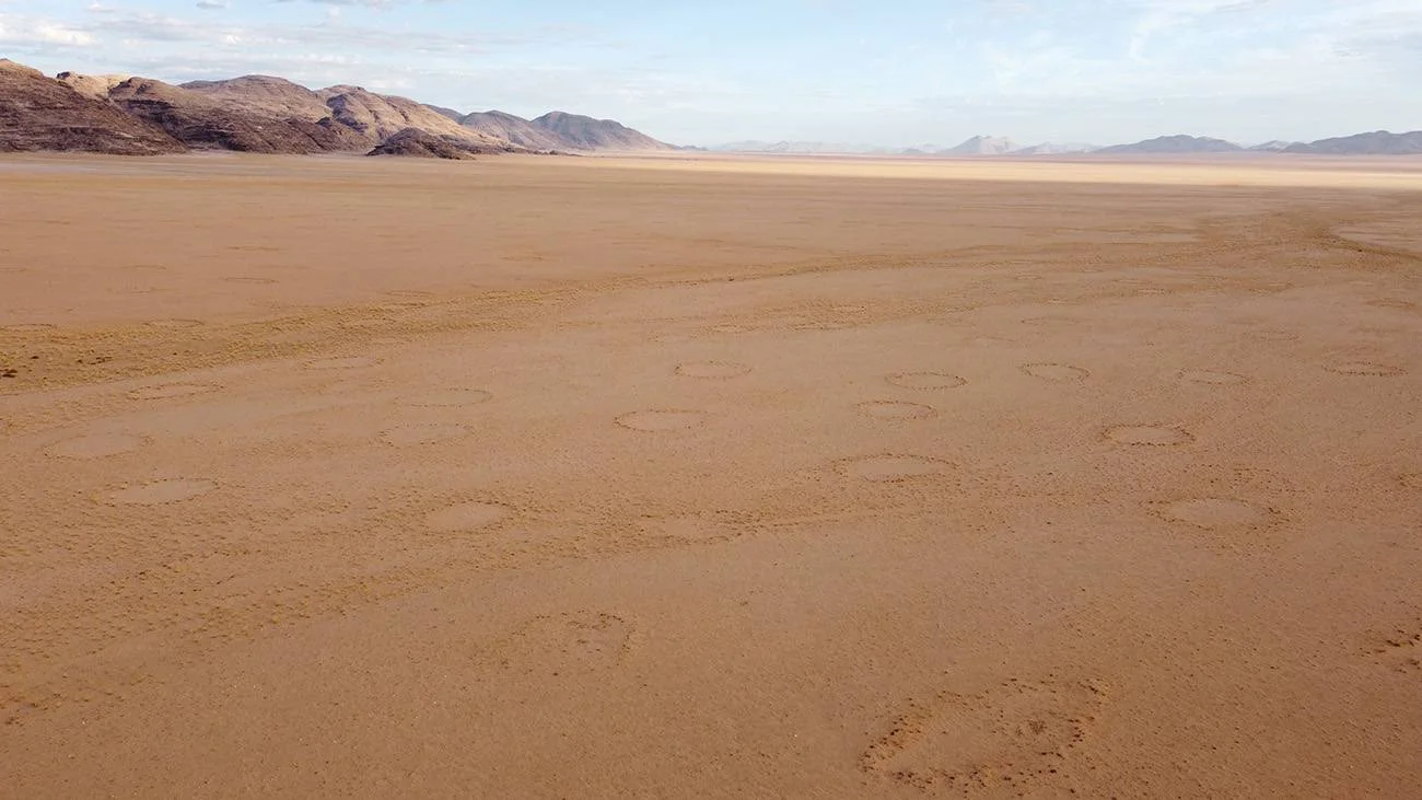 Círculos de hadas en una llanura de Namibia / Foto: Audi Ekandjo - SINC