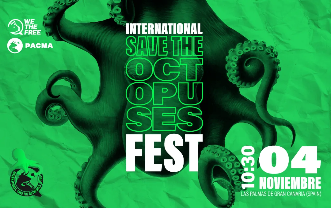 Cartel del 'International Save The Octopuses Fest / Imagen: PACMA
